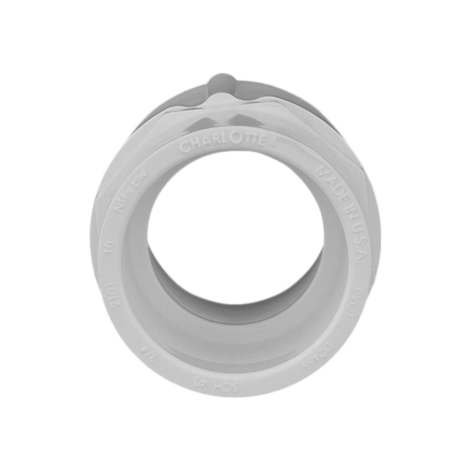 Charlotte Pipe Schedule 40 3/4 in. Slip X 3/4 in. D FPT PVC Pipe Adapter 1 pk