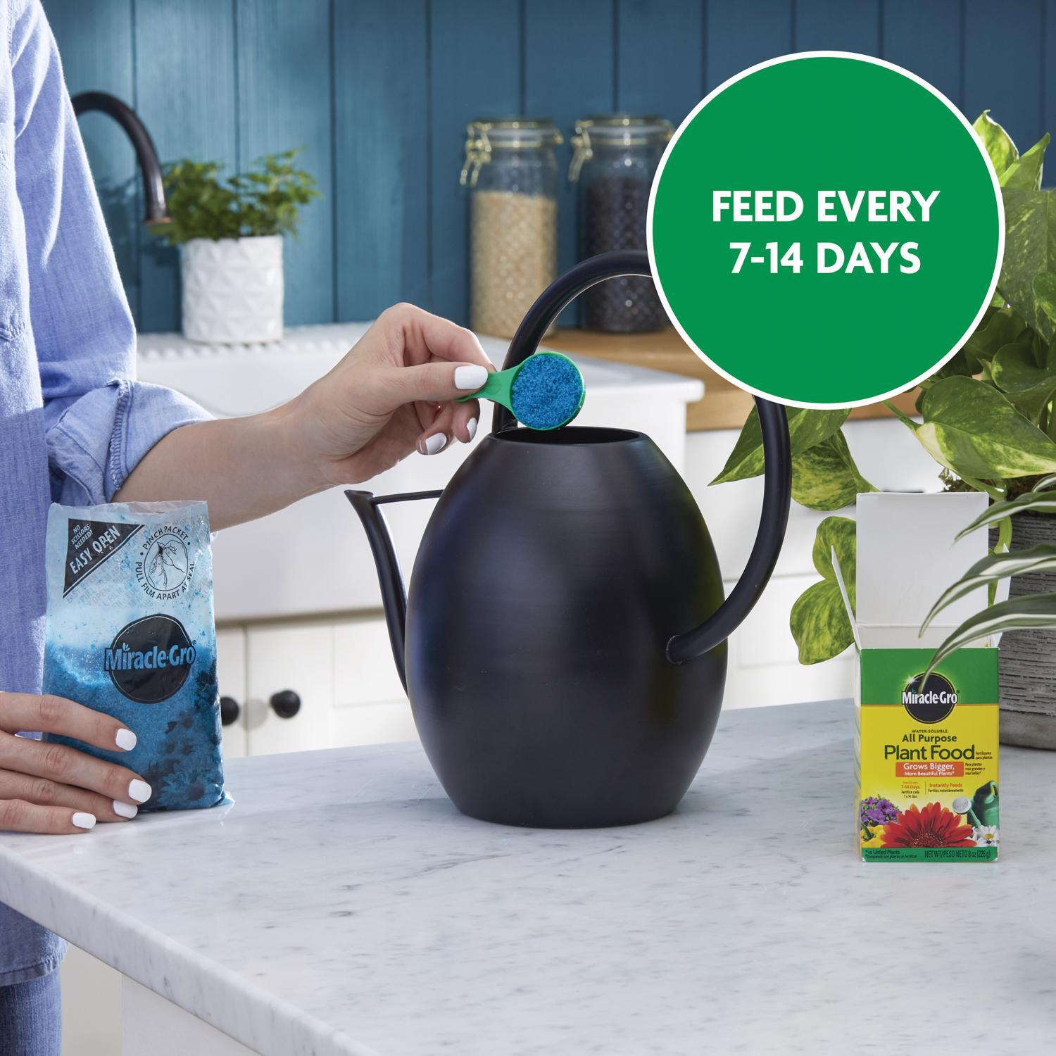 Miracle-Gro Granules Tomato, Tulips, Strawberries Plant Food 8 oz