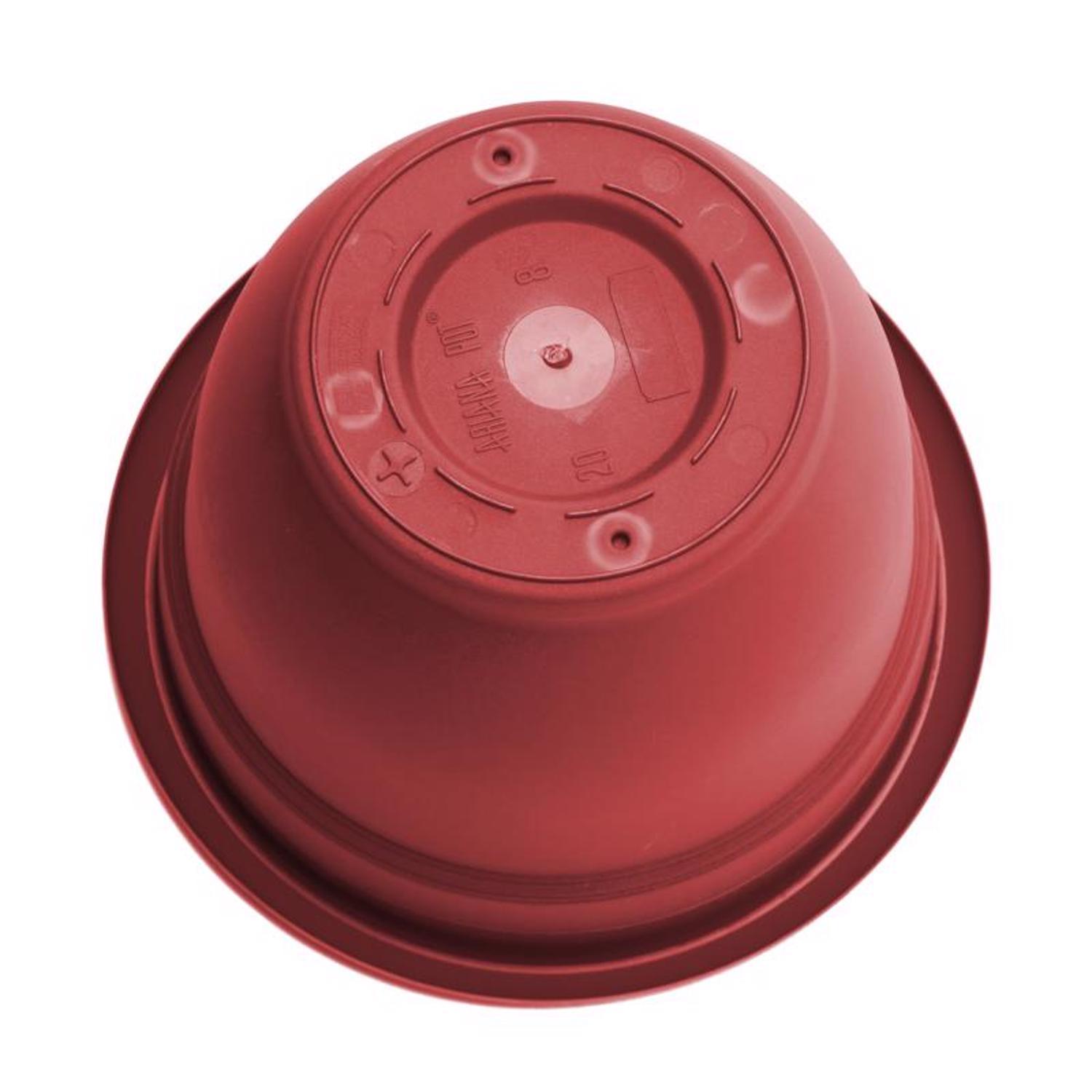 Bloem Ariana 7 in. H X 8.75 in. W X 8 in. D Plastic Traditional Planter Burnt Red