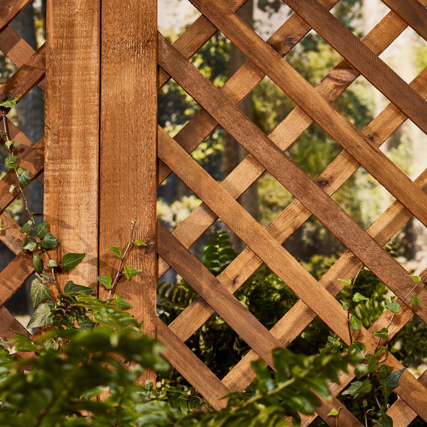 Cabot Australian Timber Oil Low VOC Transparent Honey Teak Oil-Based Australian Timber Oil 1 gal