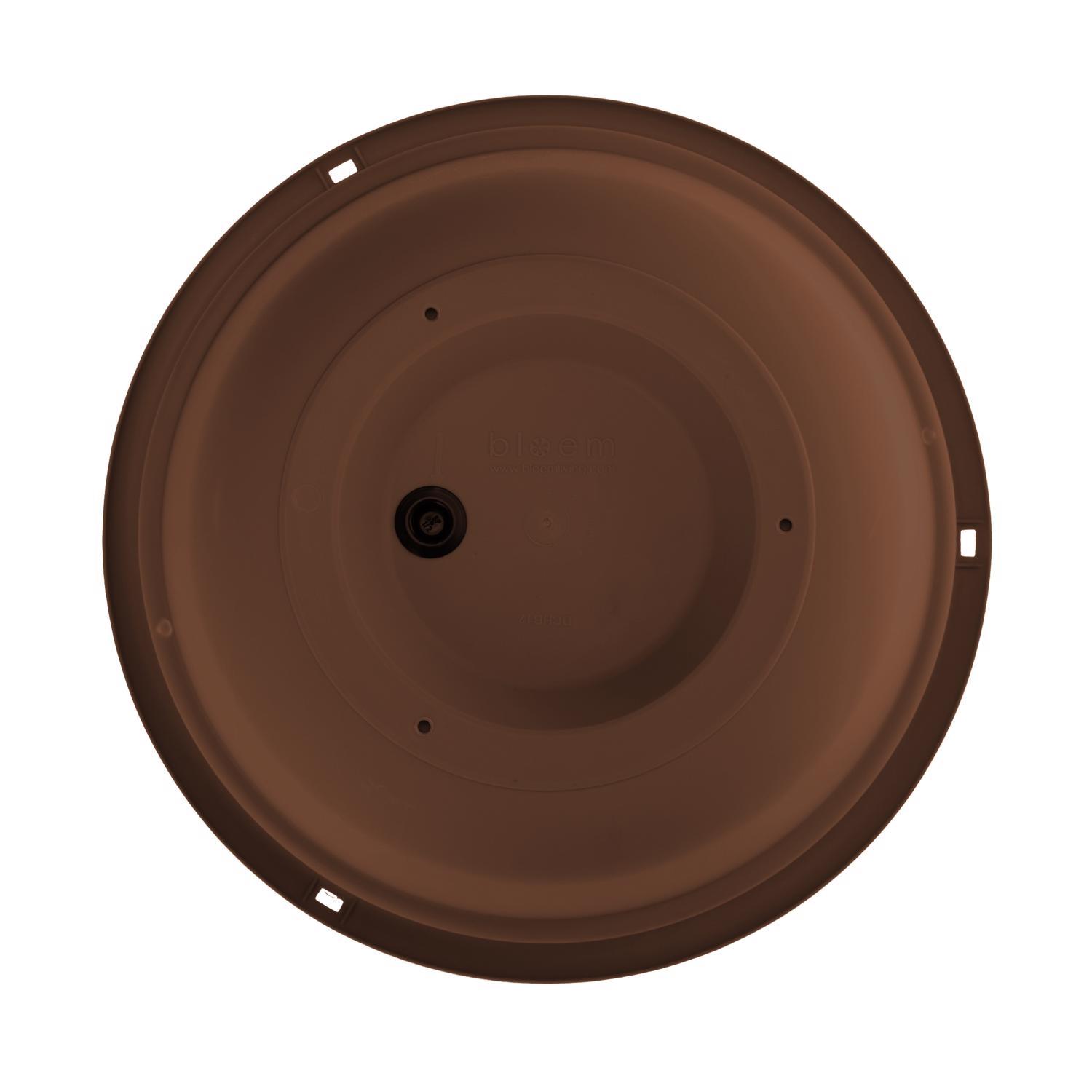 Bloem Dura Cotta 6.8 in. H X 12.5 in. W X 12.4 in. D Resin Hanging Basket Chocolate