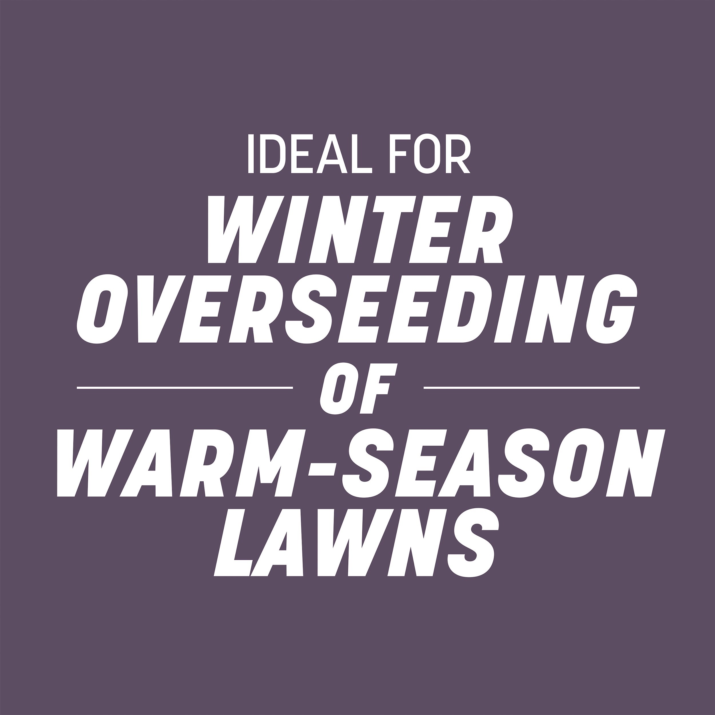 Pennington Annual Ryegrass Grass Seed 25 lb.