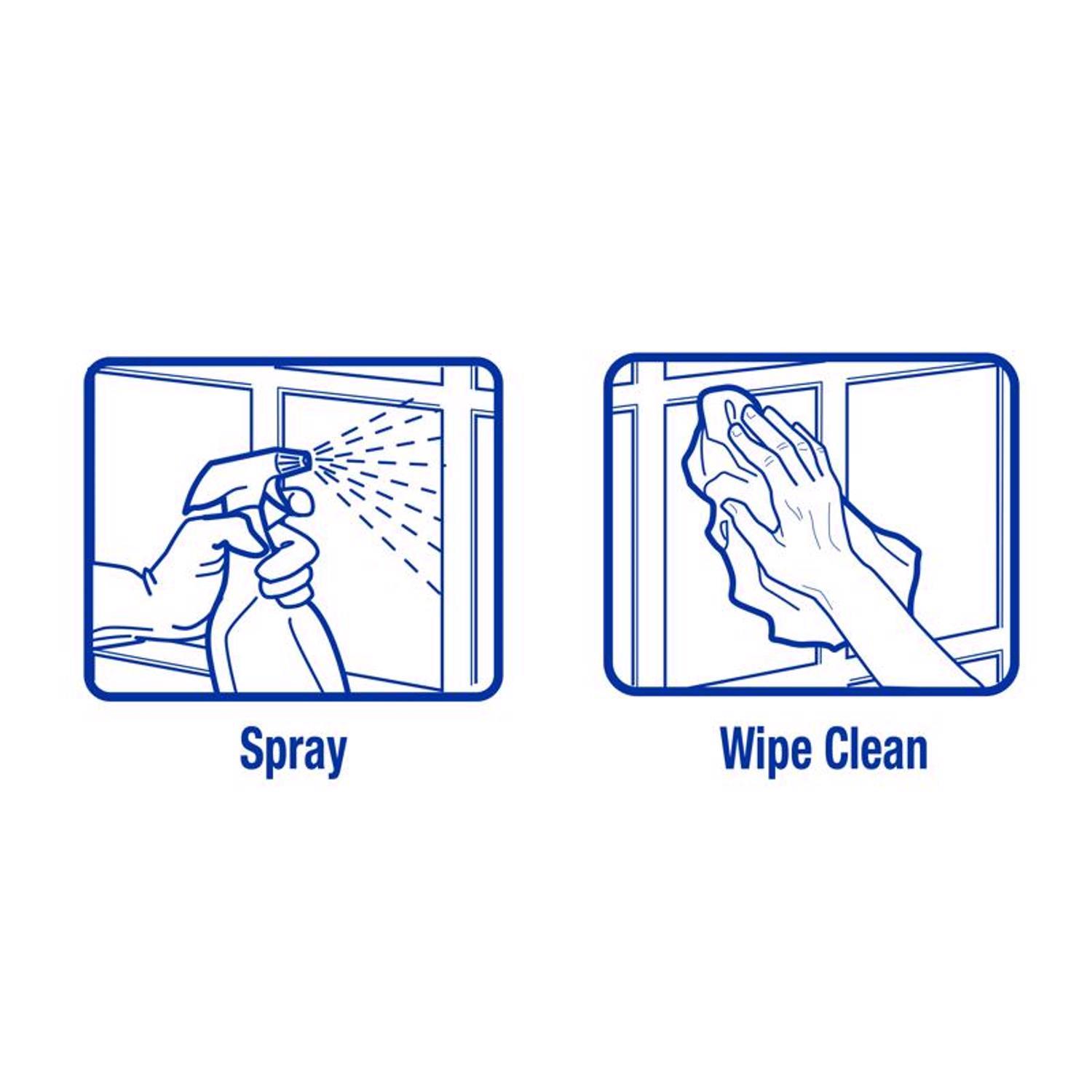 Zep No Scent Glass Cleaner 32 oz Liquid