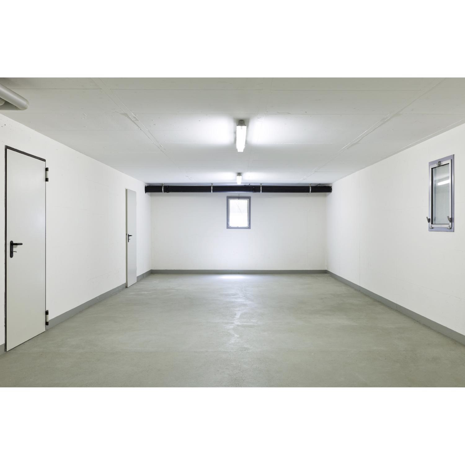 Feit Plug & Play T12 Daylight 48 in. G13 (Medium Bi-Pin) Linear LED Bulb 40 Watt Equivalence 2 pk