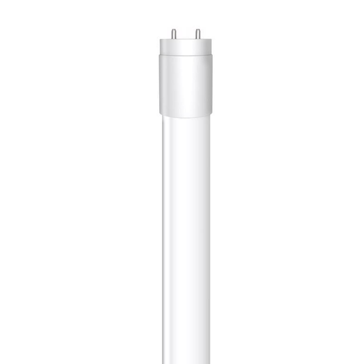 Feit Electric T8 G13 (Medium Bi-Pin) LED Bulb Cool White 20 Watt Equivalence 1 pk