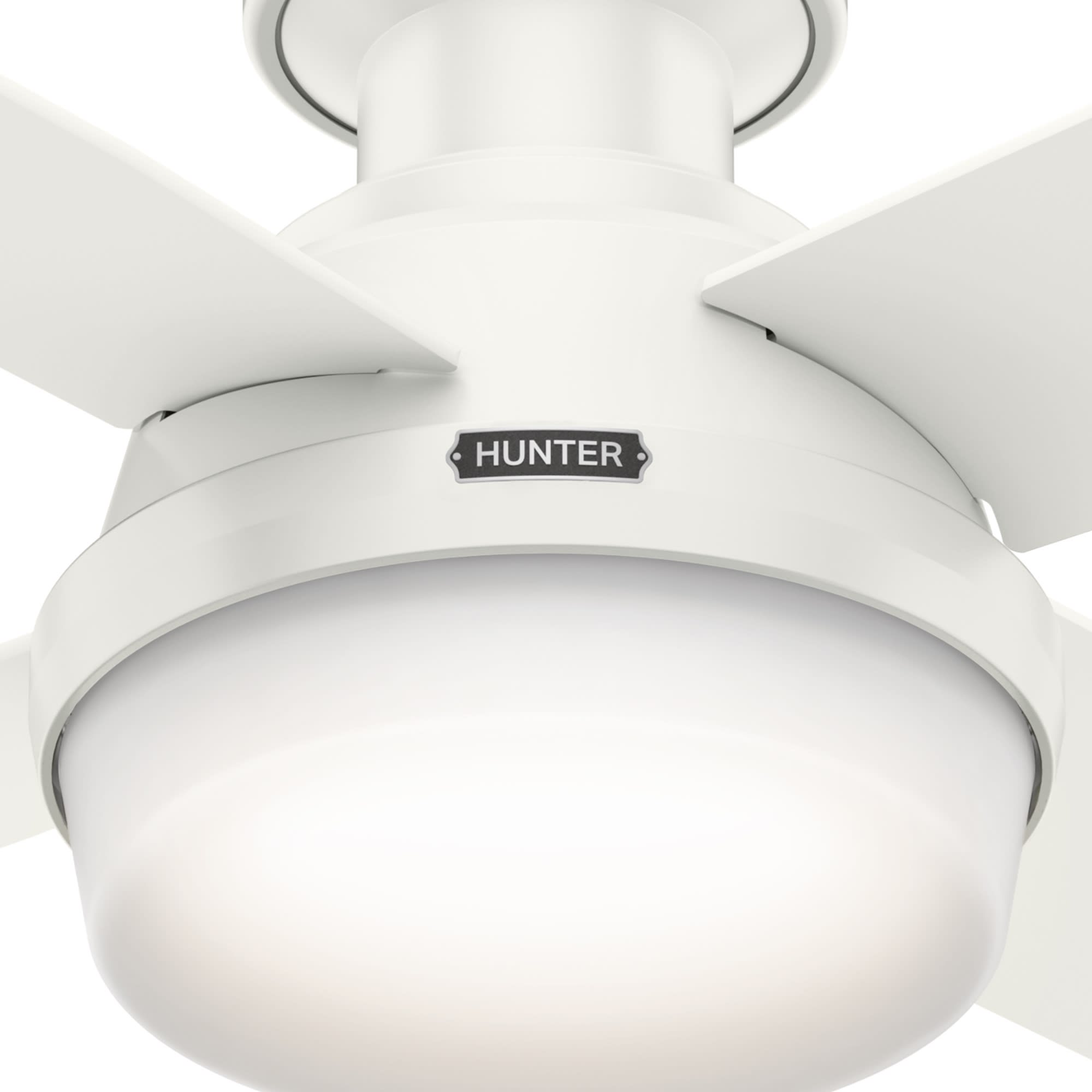Hunter Dempsey 44 in. Snow White White LED Indoor Ceiling Fan