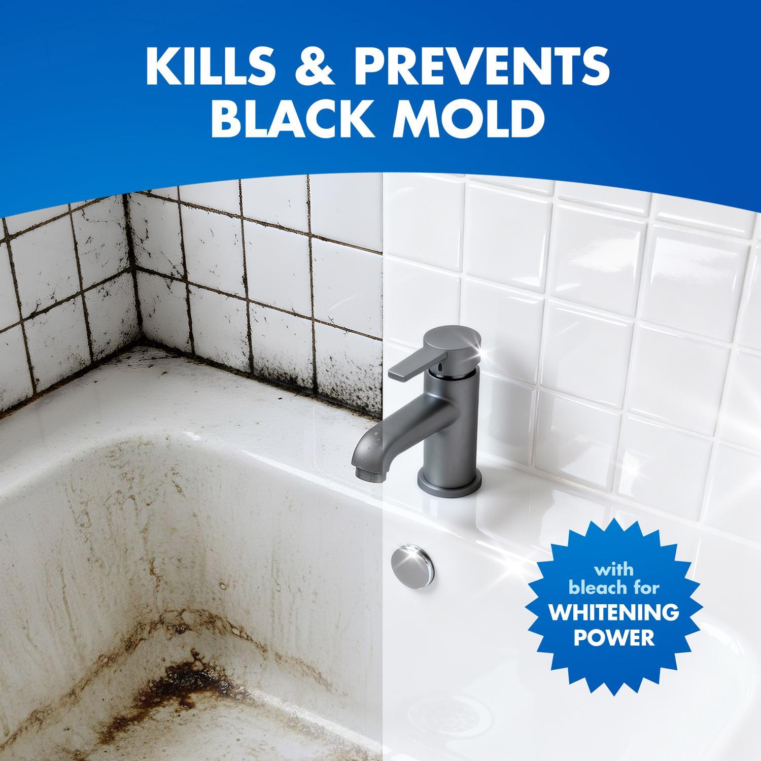 Lysol Mold and Mildew Stain Remover 32 oz