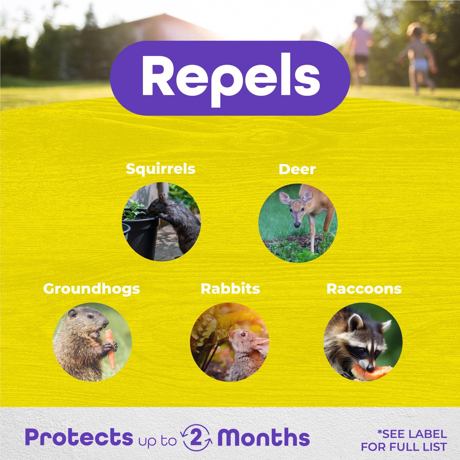 Bonide Repels-All Animal Repellent Granules For Most Animal Types 3 lb