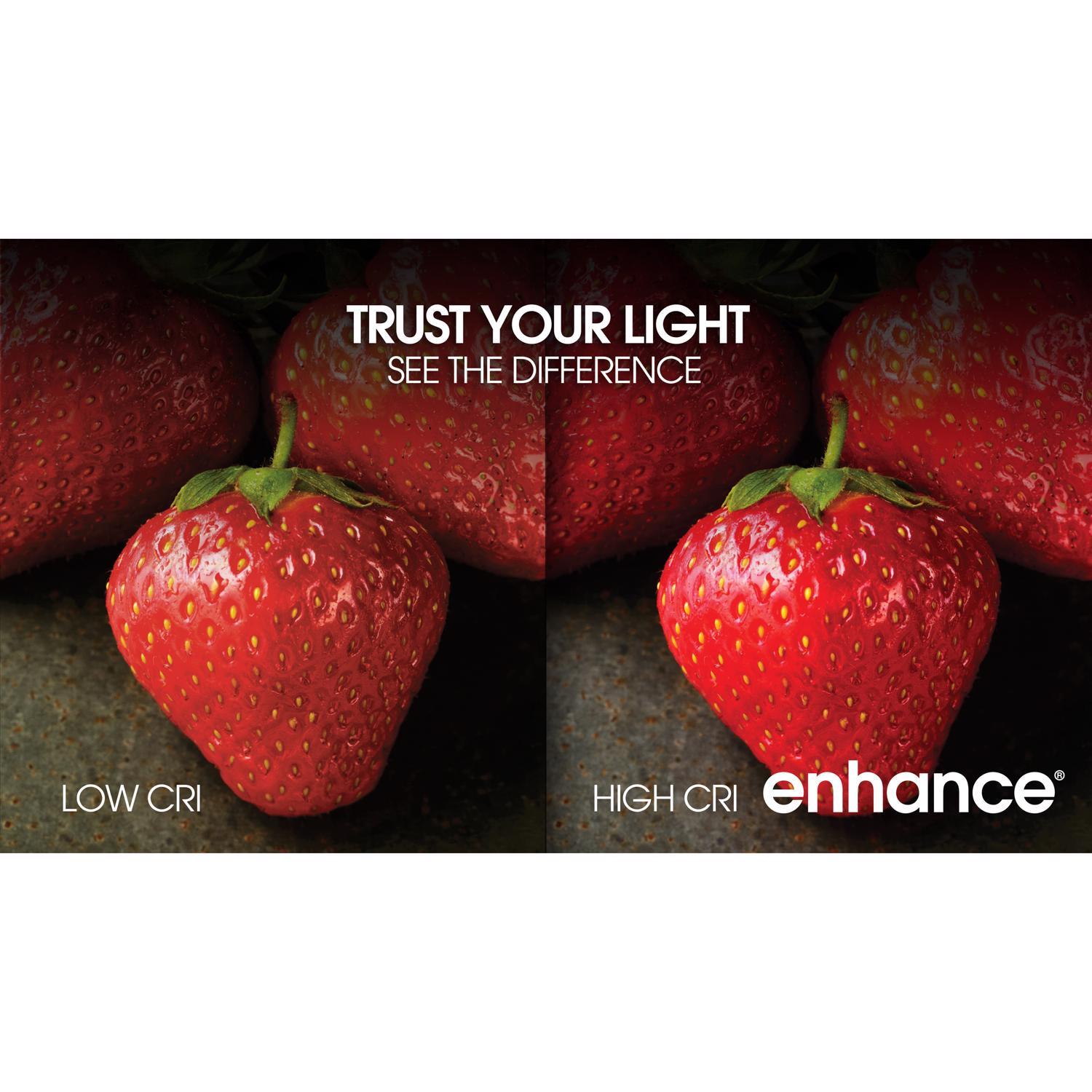 Feit Enhance A15 E12 (Candelabra) LED Bulb Daylight 40 Watt Equivalence 2 pk