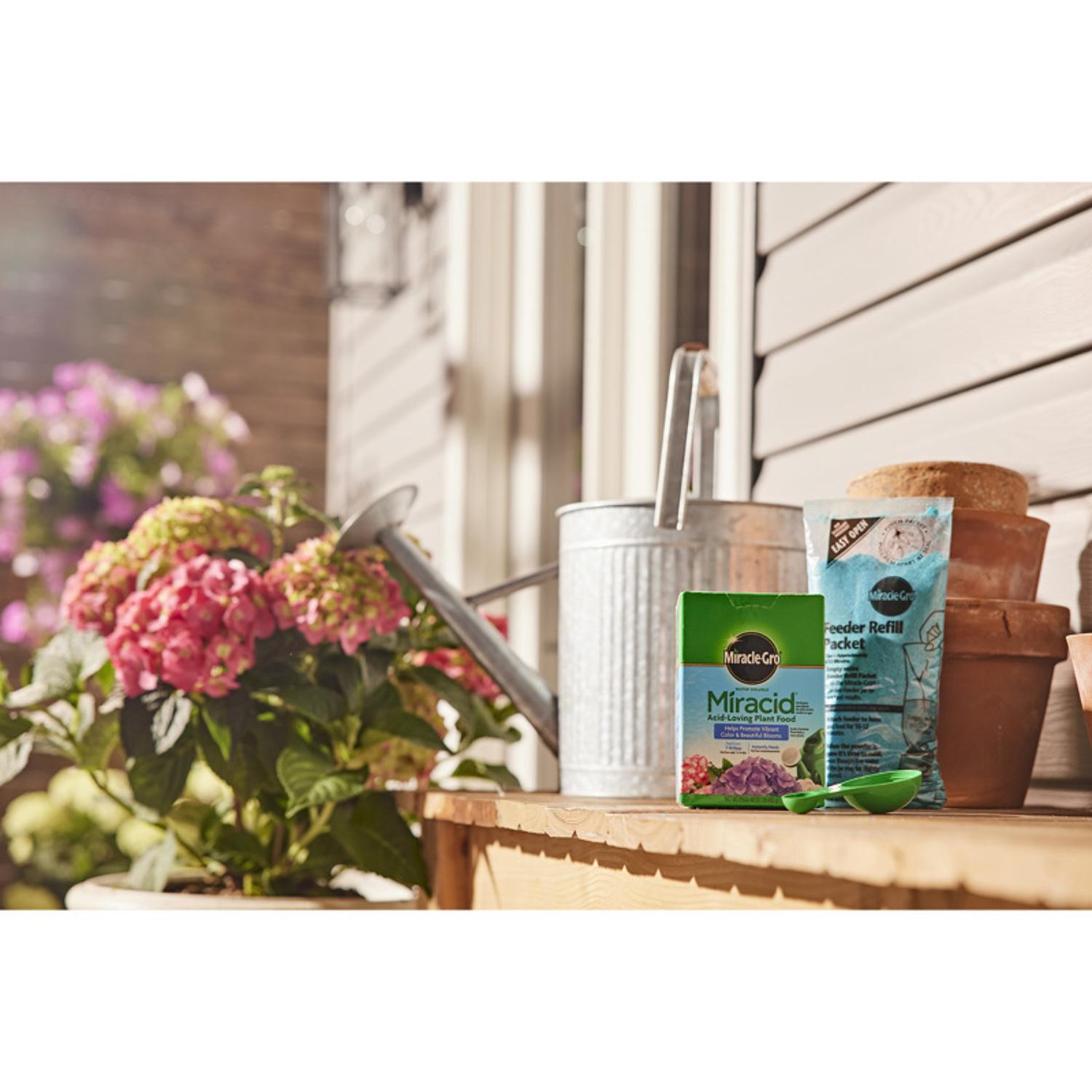 Miracle-Gro Miracid Powder Azalea, Camellia, Gardenia, Hibiscus, Holly, Hydrangea, and Orchids Plant