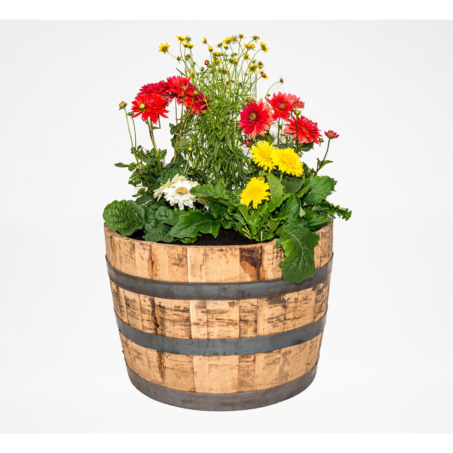 Real Wood Products 17.5 in. H X 26 in. W X 26 in. D Oak Whiskey Barrel Barrel Brown