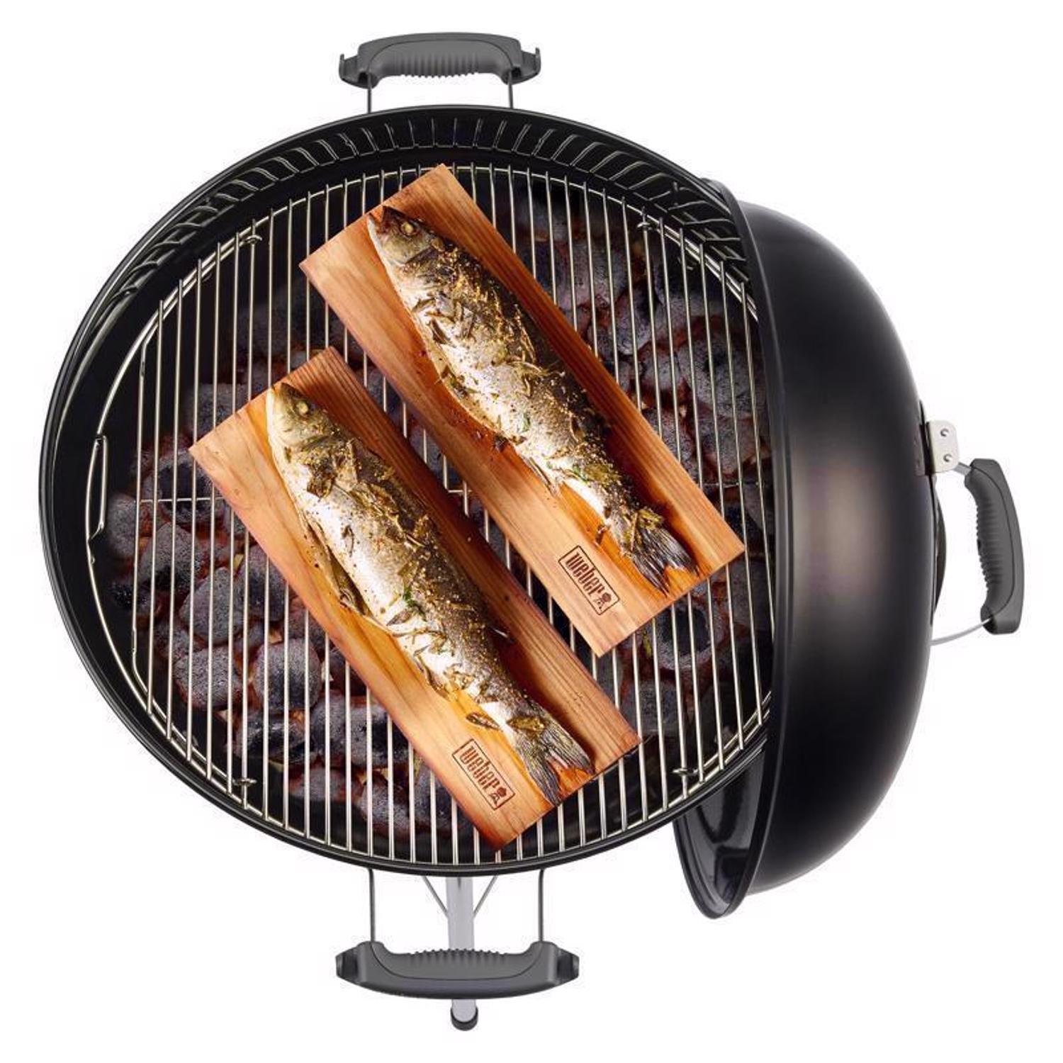 Weber 22 in. Ace Exclusive Original Kettle Premium Charcoal Grill Indigo
