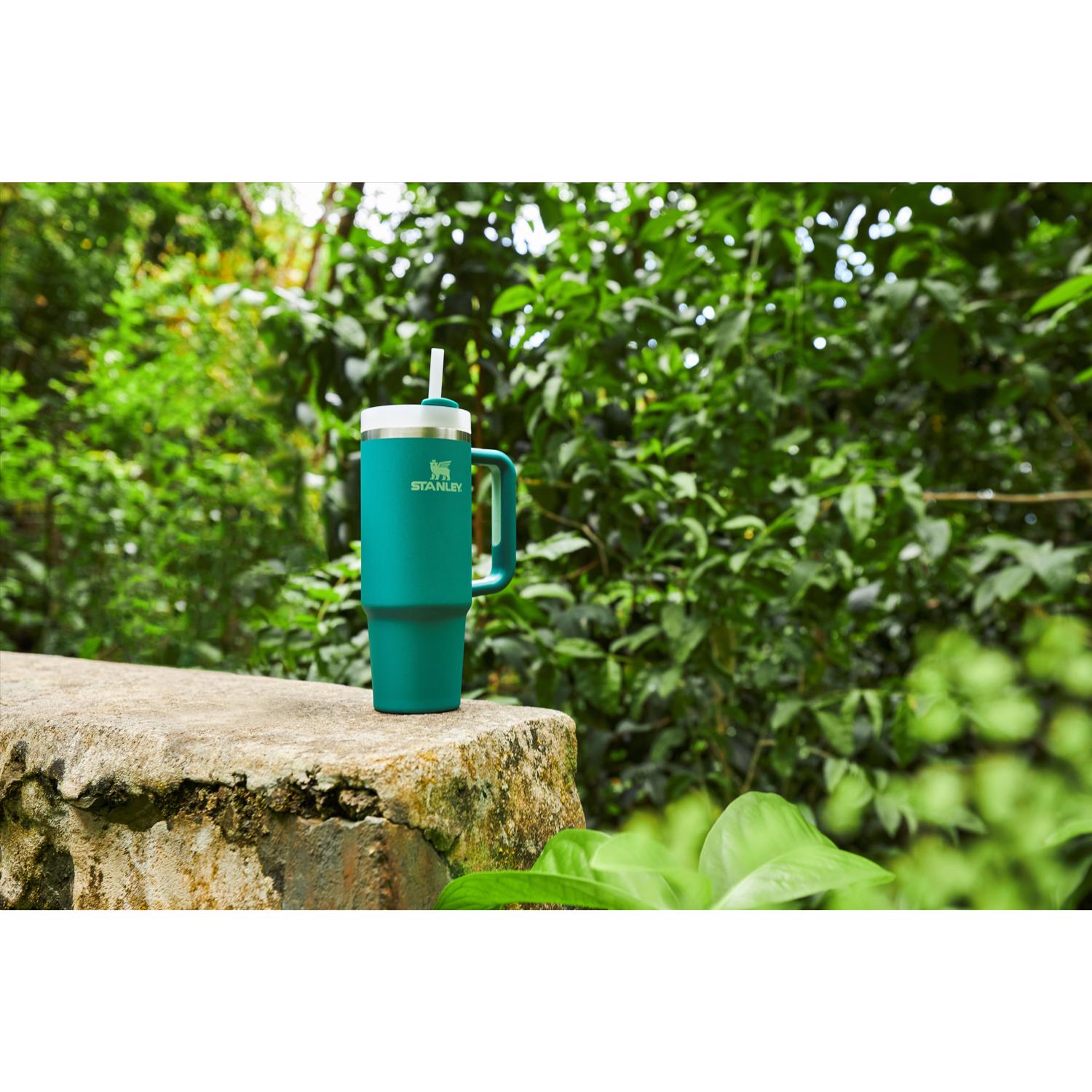 Stanley The Quencher H2.0 FlowState 30 oz Alpine BPA Free Double-wall Vacuum Insulated Tumbler