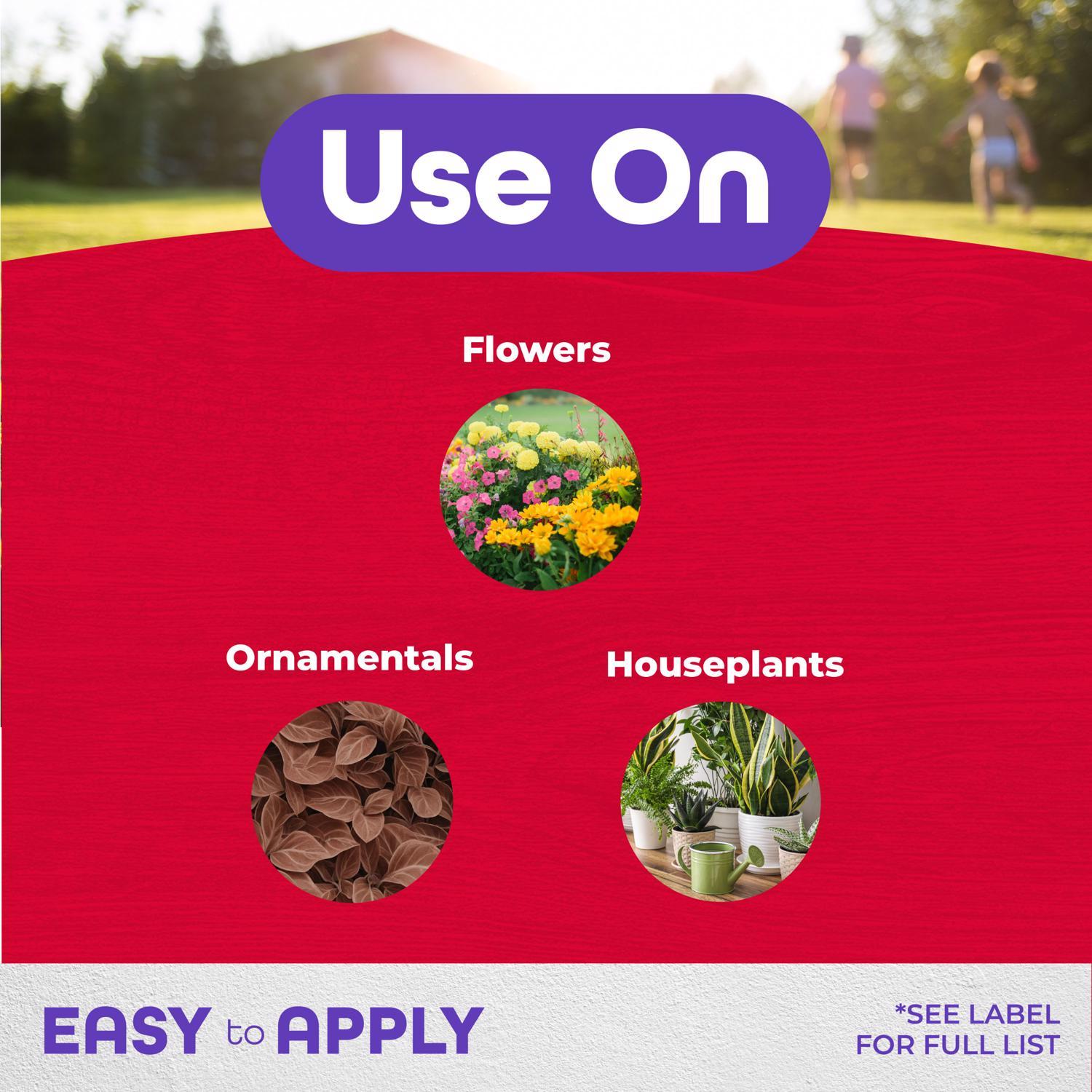 Bonide Systemic Houseplant Insect Killer Granules 8 oz