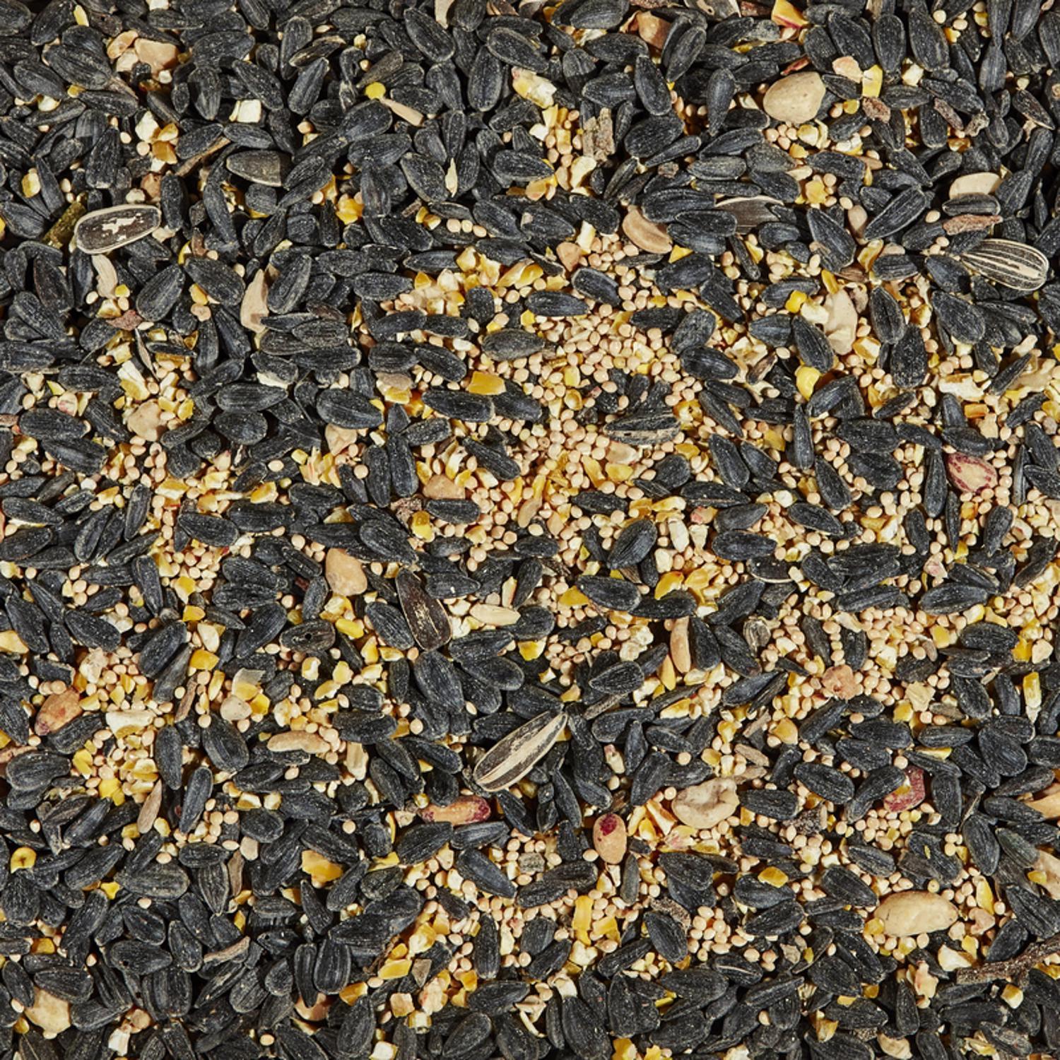 Kaytee Wild Bird Food 14 lb