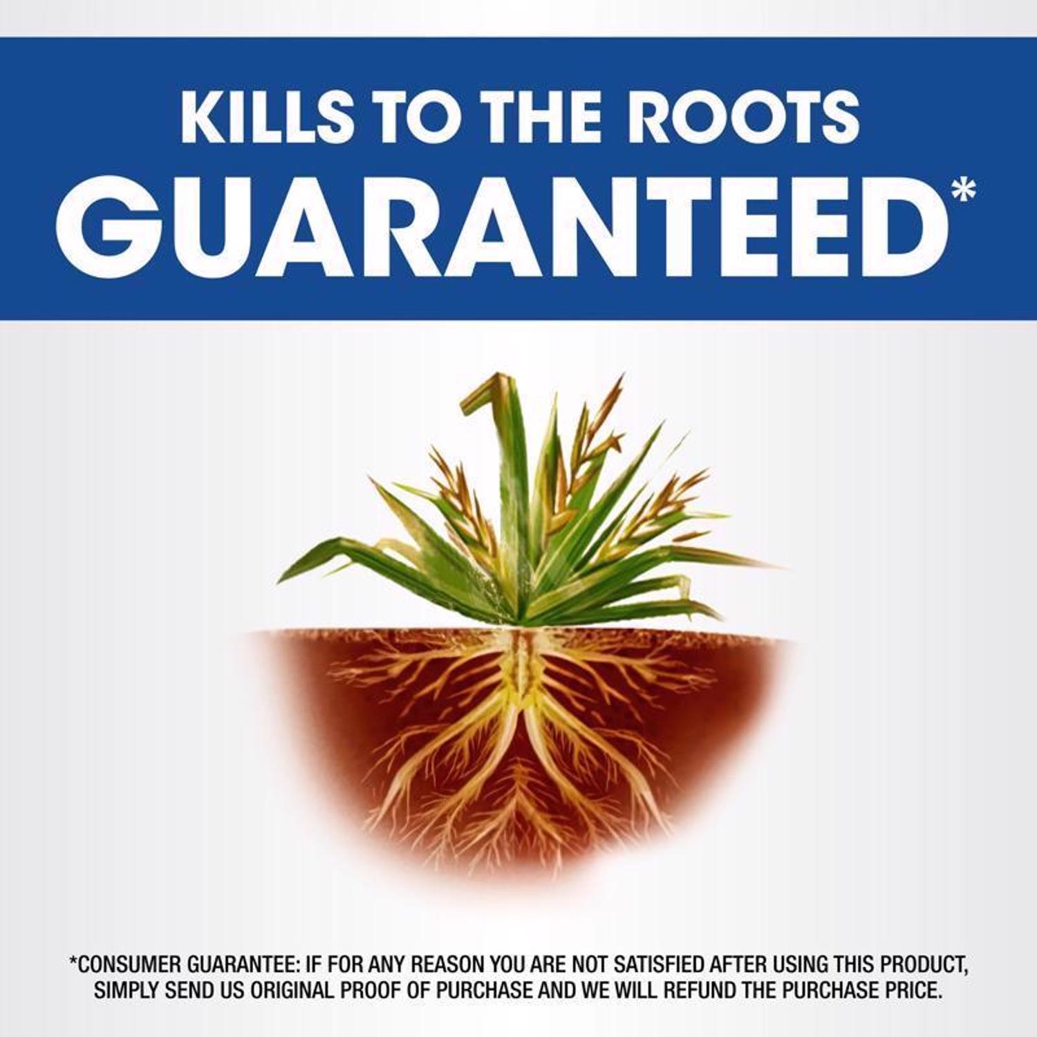 Roundup Weed and Grass Killer Concentrate 0.5 gal