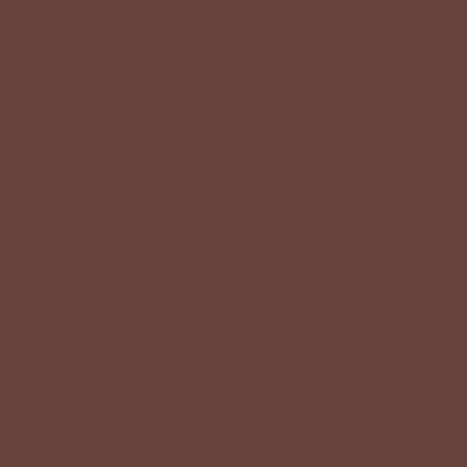 Ace Premium Gloss Chocolate Brown Paint + Primer Enamel Spray 12 oz