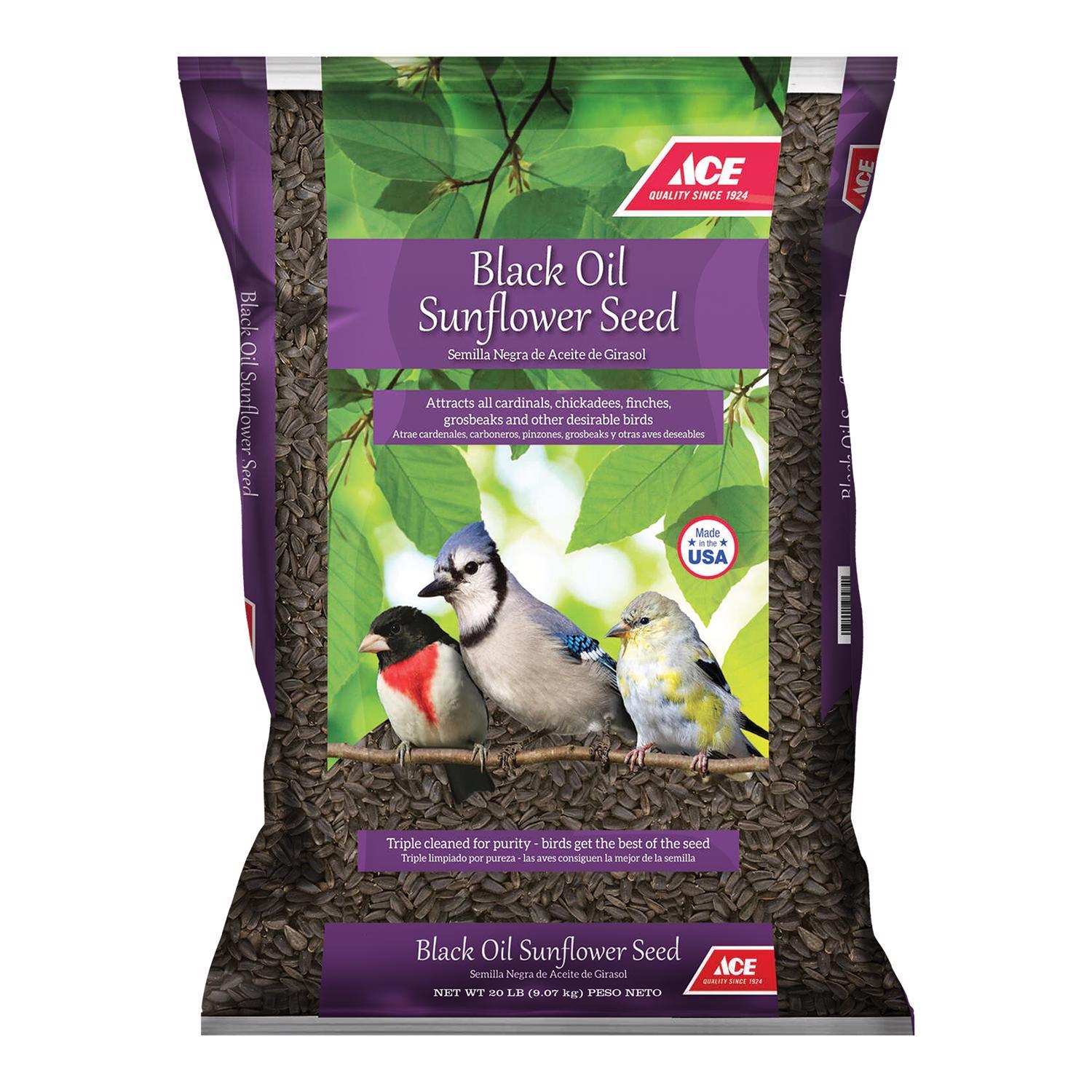 Ace Songbird Black Oil Sunflower Seed Wild Bird Seed 20 lb