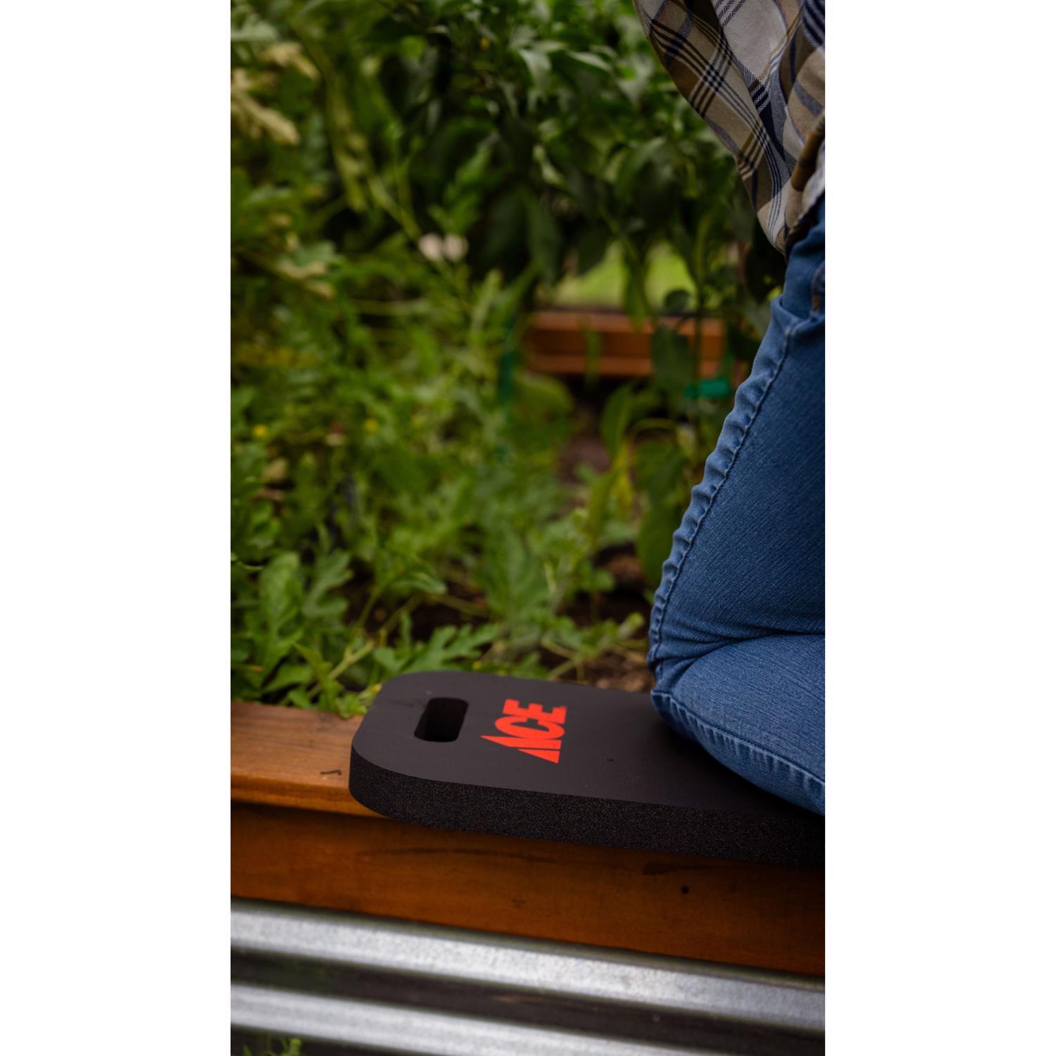 Ace 10 in. W X 15 in. D Black Kneeling Pad