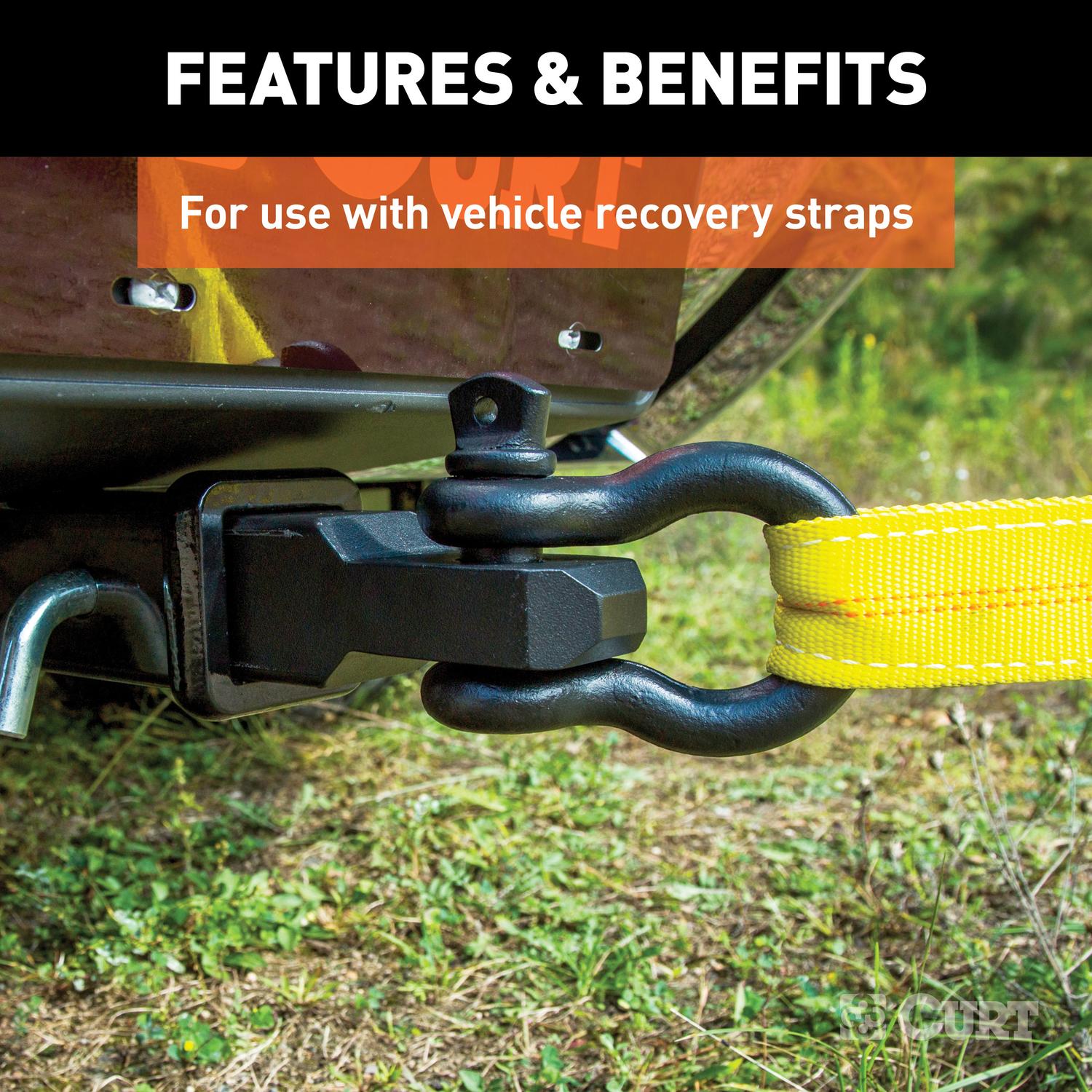 CURT 13000 lb. cap. D-Ring Shackle Mount