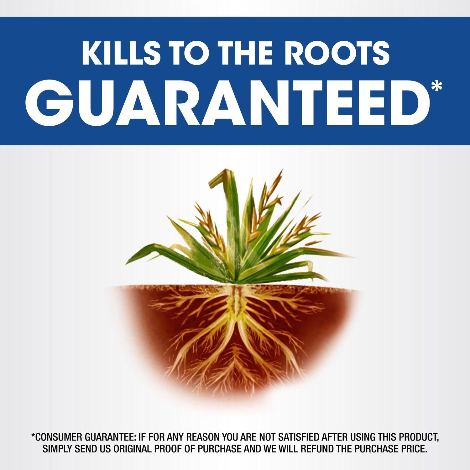 Roundup Weed and Grass Killer Concentrate 1 gal