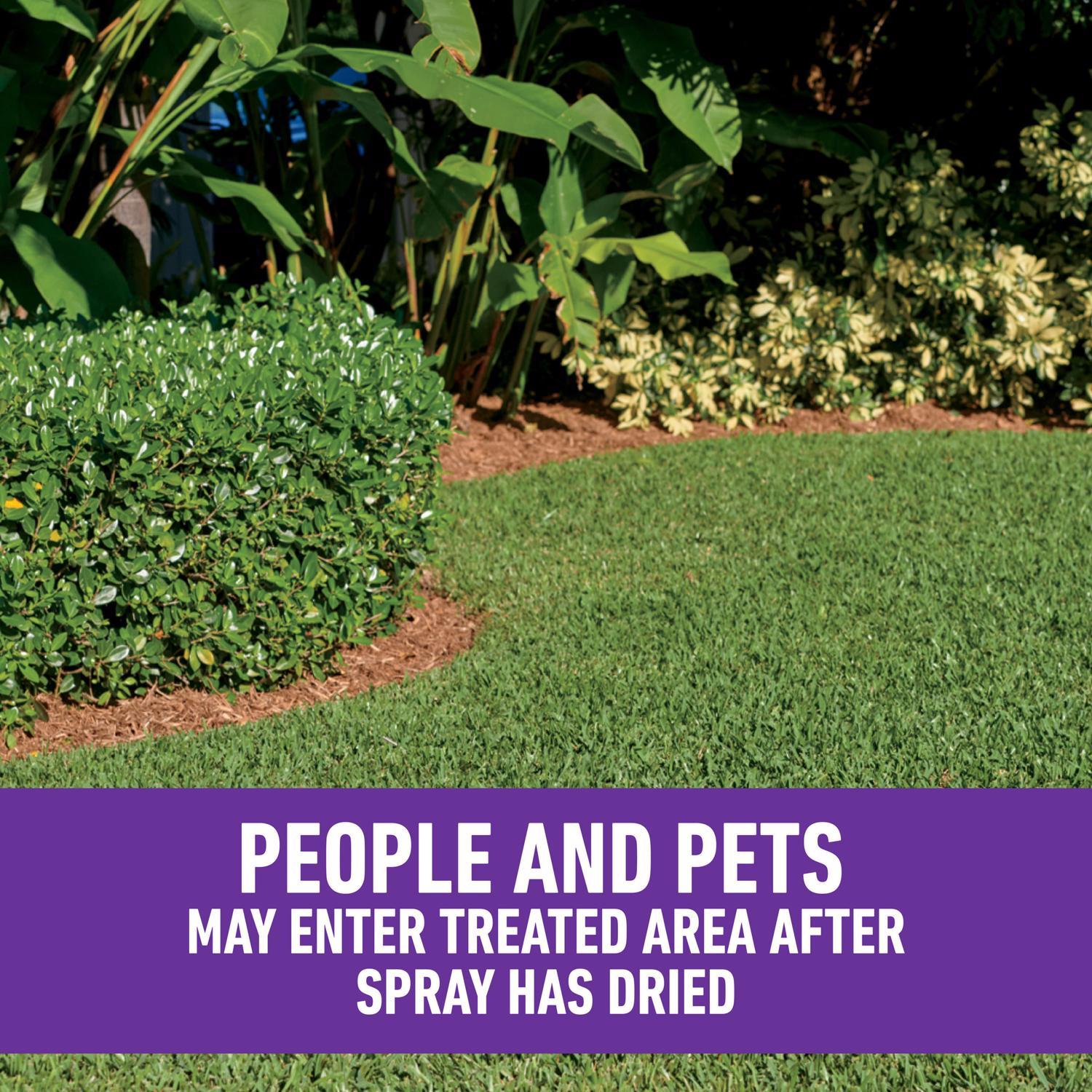 Roundup Weed Killer Concentrate 32 oz