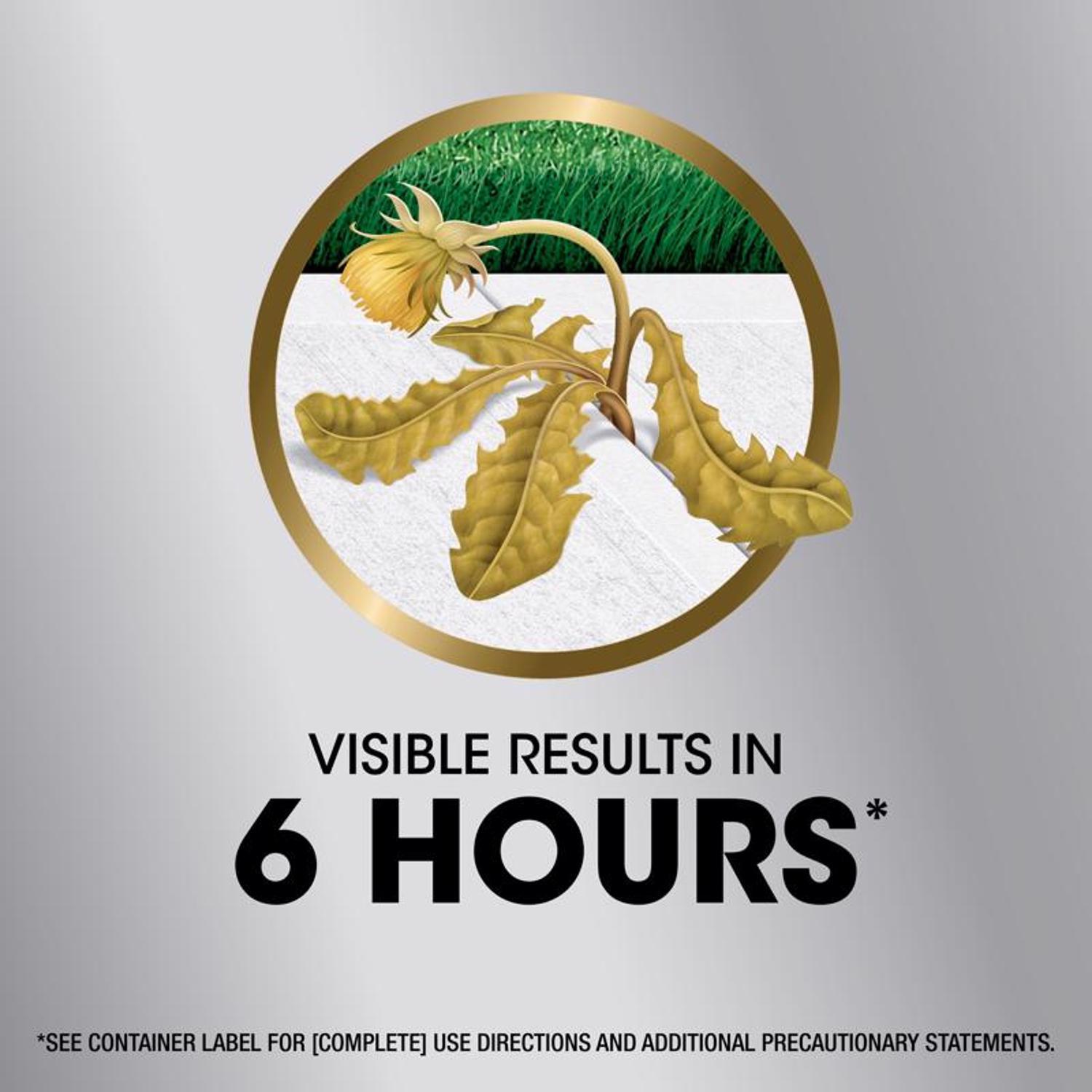 Roundup Dual Action Weed and Grass Killer Concentrate 32 oz