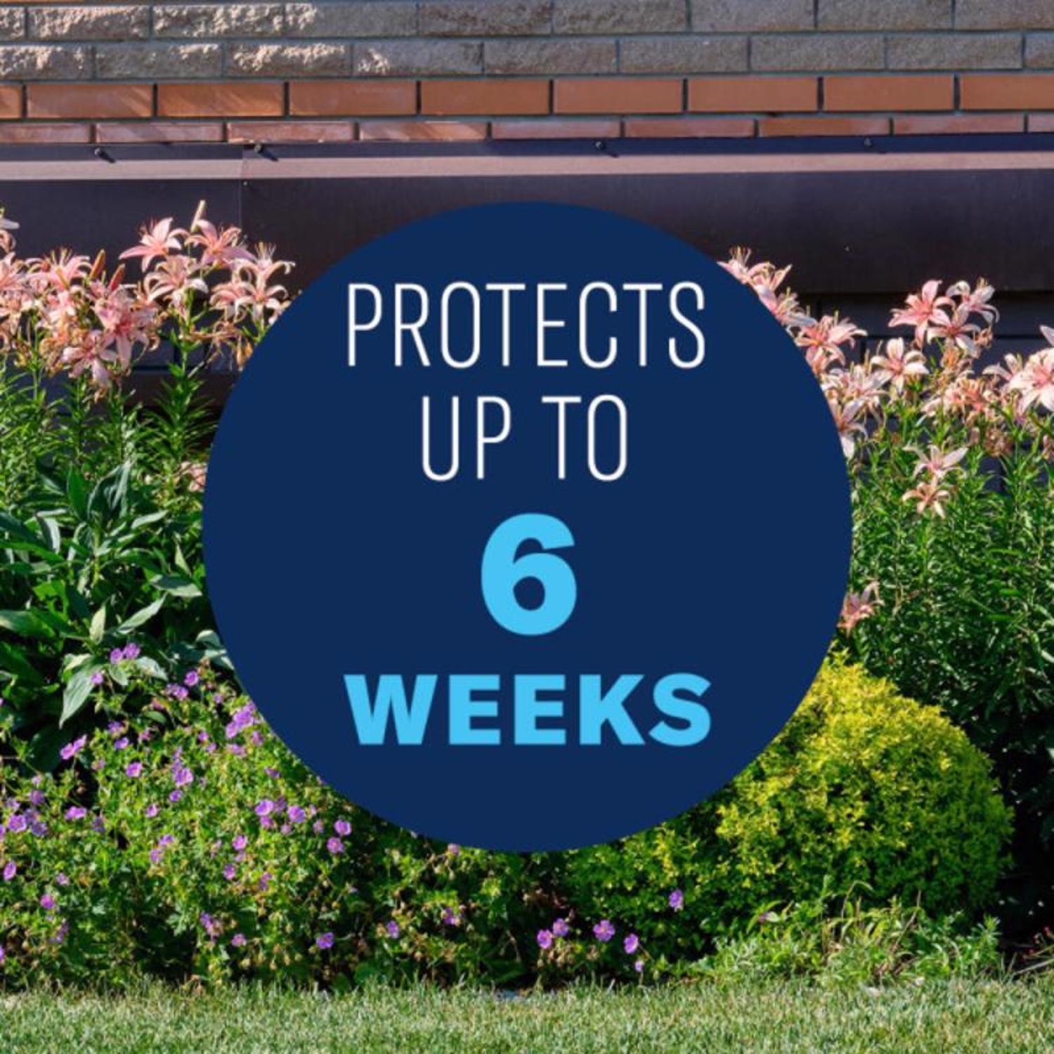 BioAdvanced Shrub Care Granules Protect & Feed 4 lb