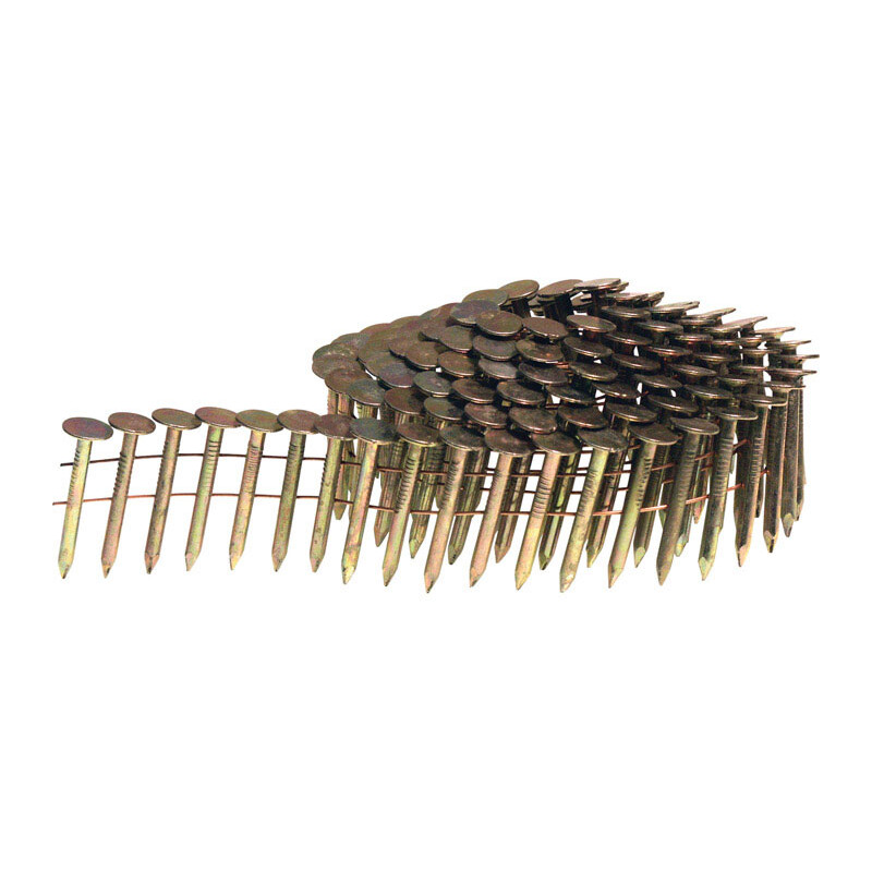 National Nail Pro-Fit 1-1/4 in. L .120 Ga. Electrogalvanized Coil Roofing Nails 7200 pk
