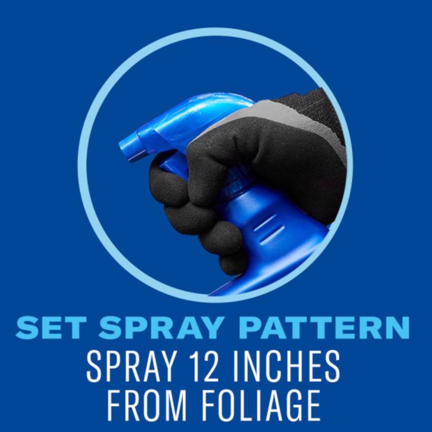 BioAdvanced Ready-to-Use, Dual Action Rose and Flower Insect Killer Liquid 24 oz