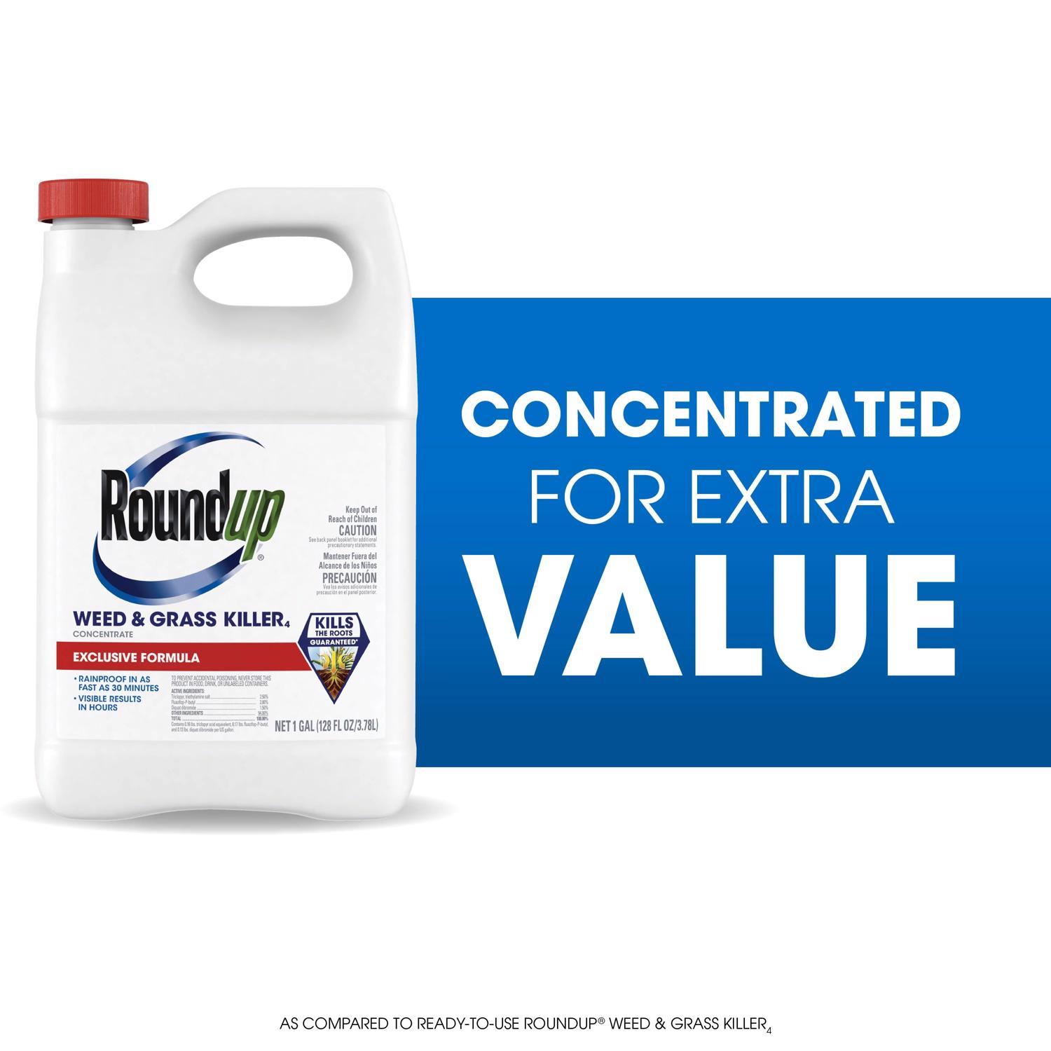 Roundup Weed and Grass Killer Concentrate 1 gal
