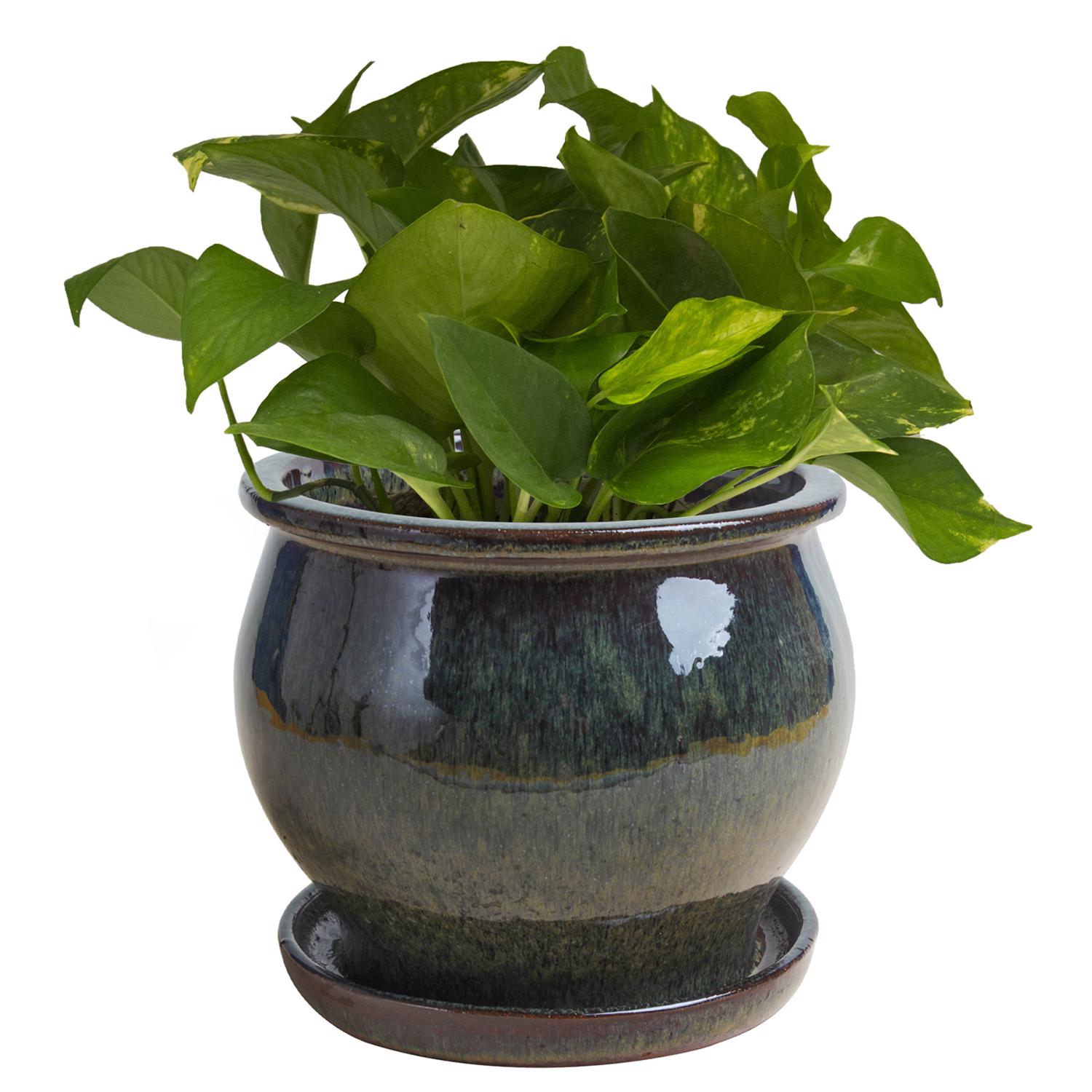 Trendspot Studio 6.3 in. H X 8 in. W X 8 in. D X 8 in. D Ceramic Planter Green