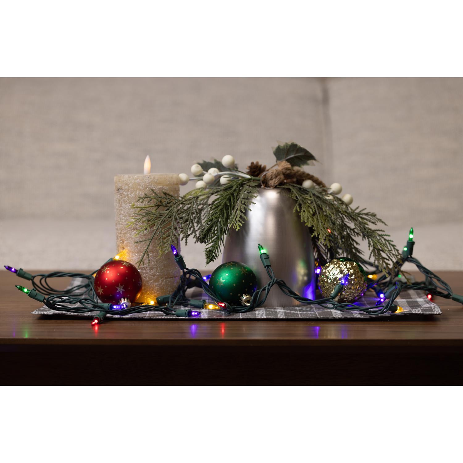 Celebrations LED T5 Multicolored 50 ct String Christmas Lights