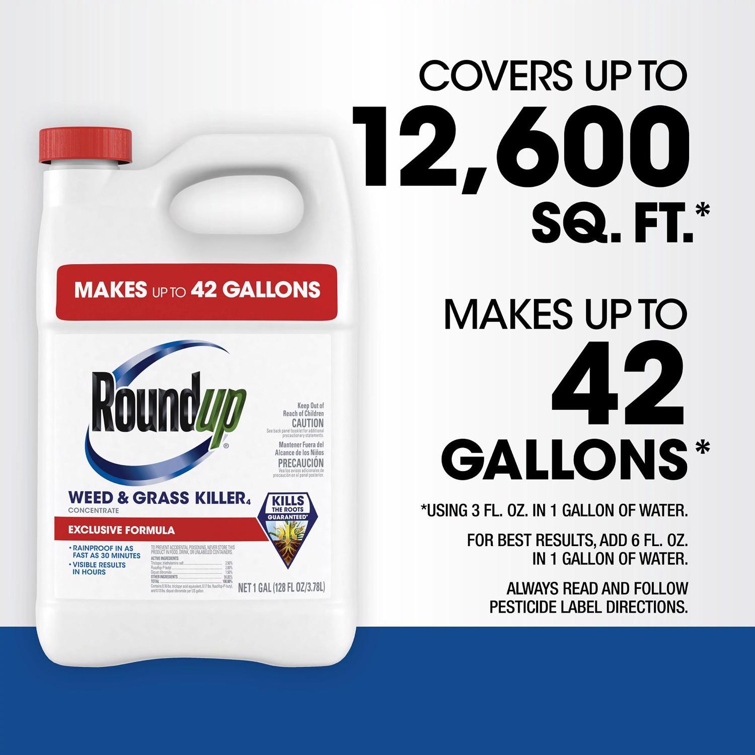 Roundup Weed and Grass Killer Concentrate 1 gal