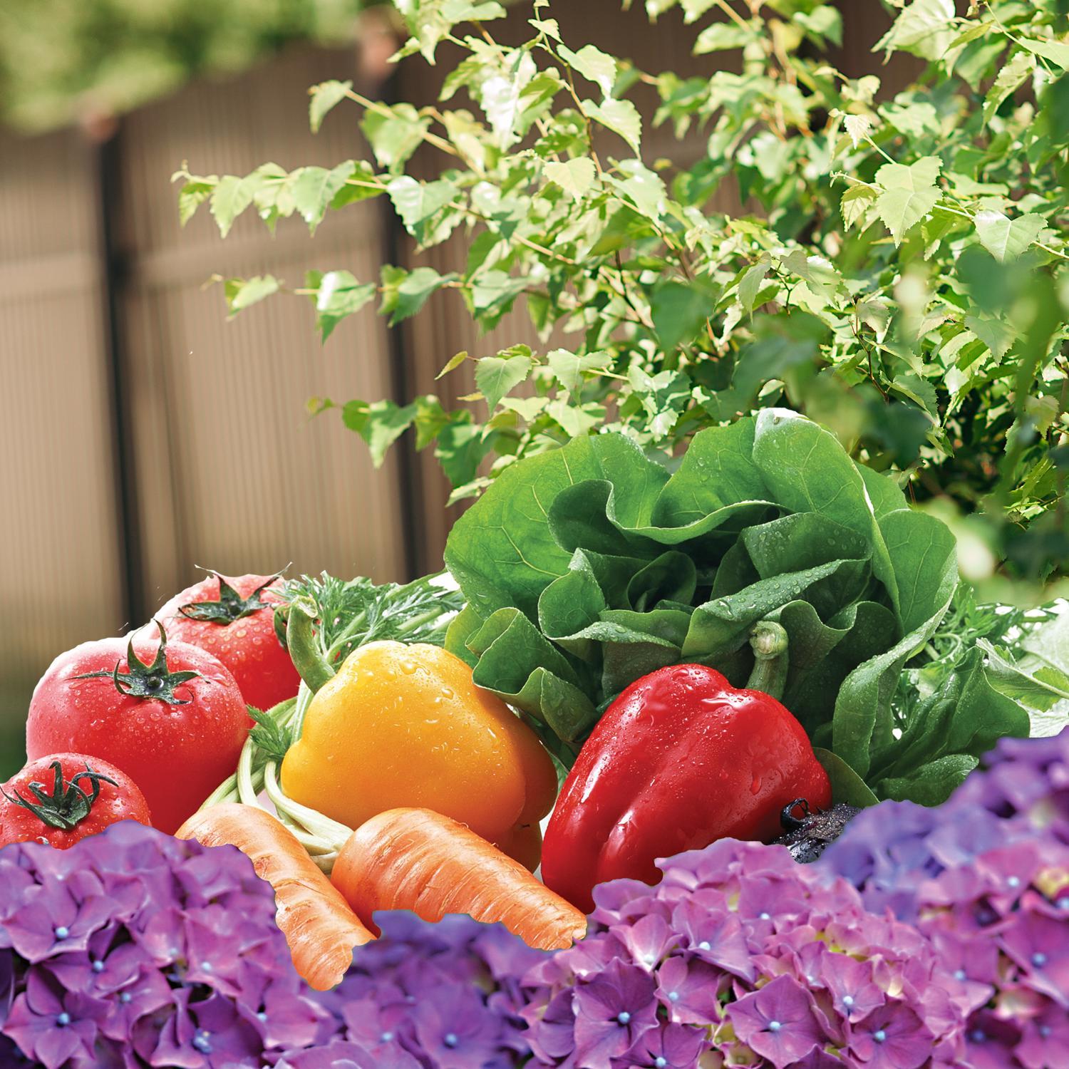 Bonide Hydrated Lime 10 lb