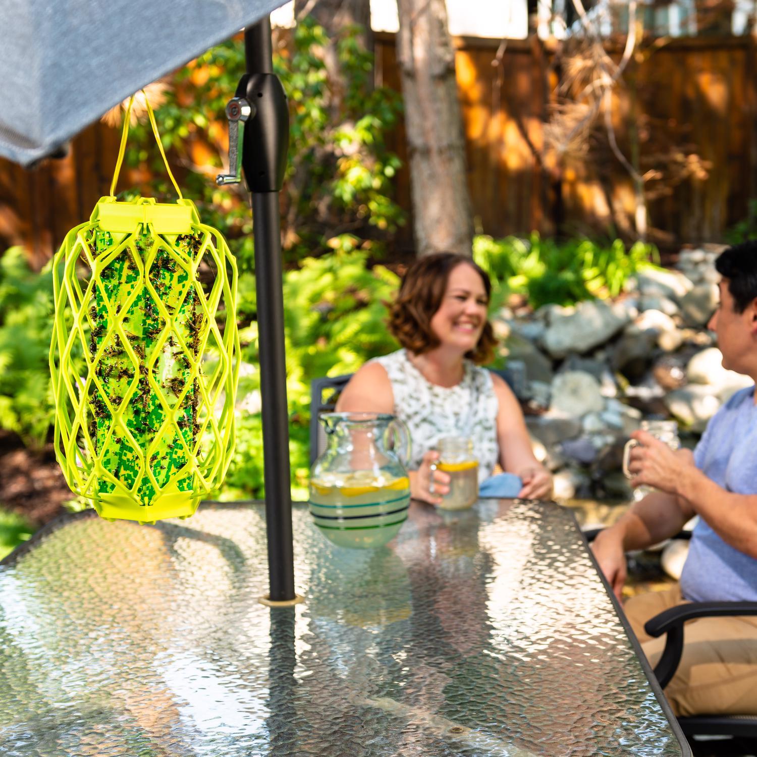 RESCUE! TrapStik Insect Trap 1 pk