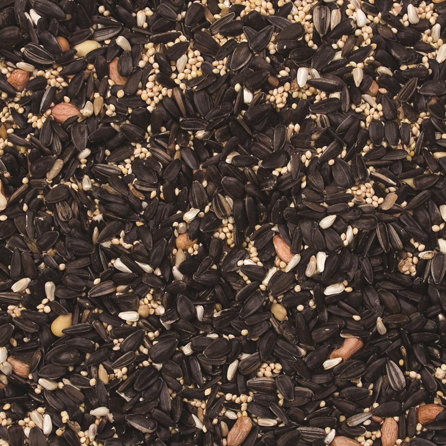 Wild Delight Gourmet Wild Bird Food 8 lb
