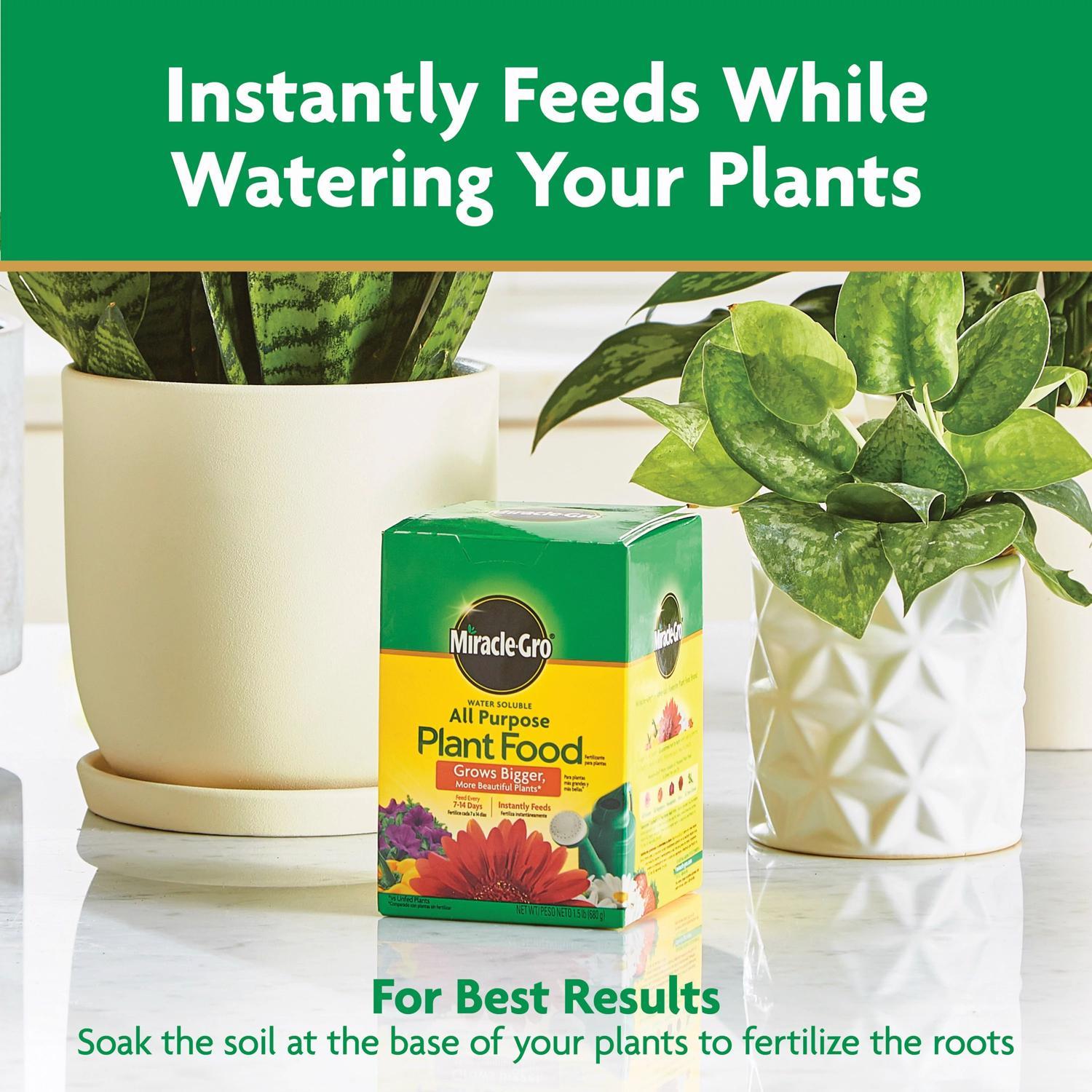 Miracle-Gro Powder Plant Food 1.5 lb