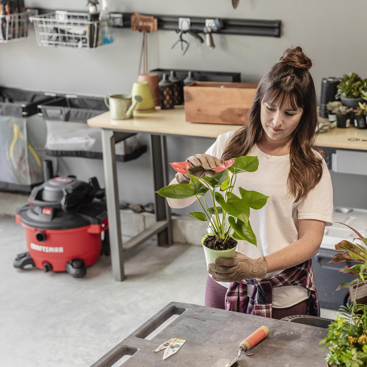 Craftsman 5 in. L X 15 in. W X 2-1/2 in. D Floor Brush 1 pc