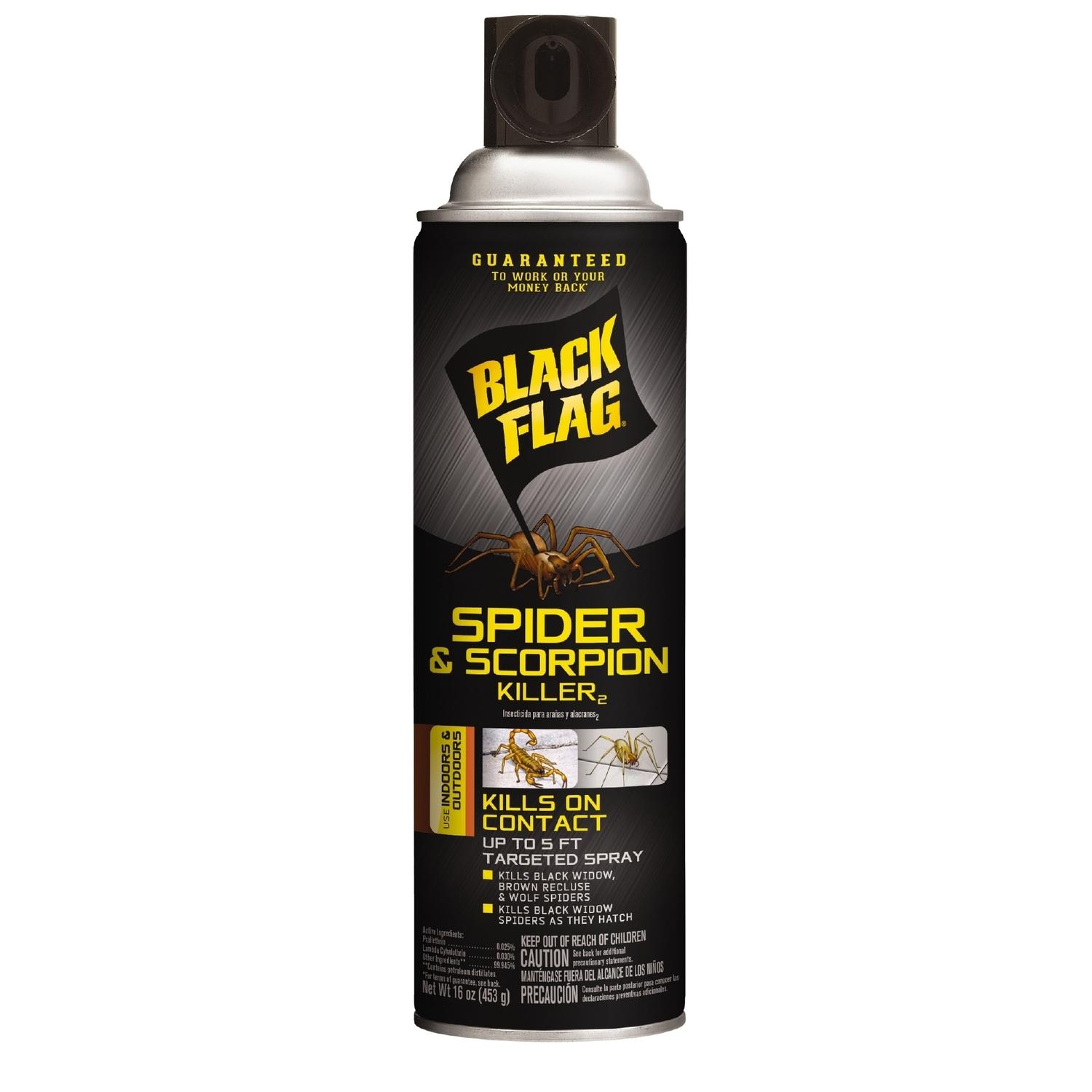 Black Flag Insect Killer Liquid 16 oz