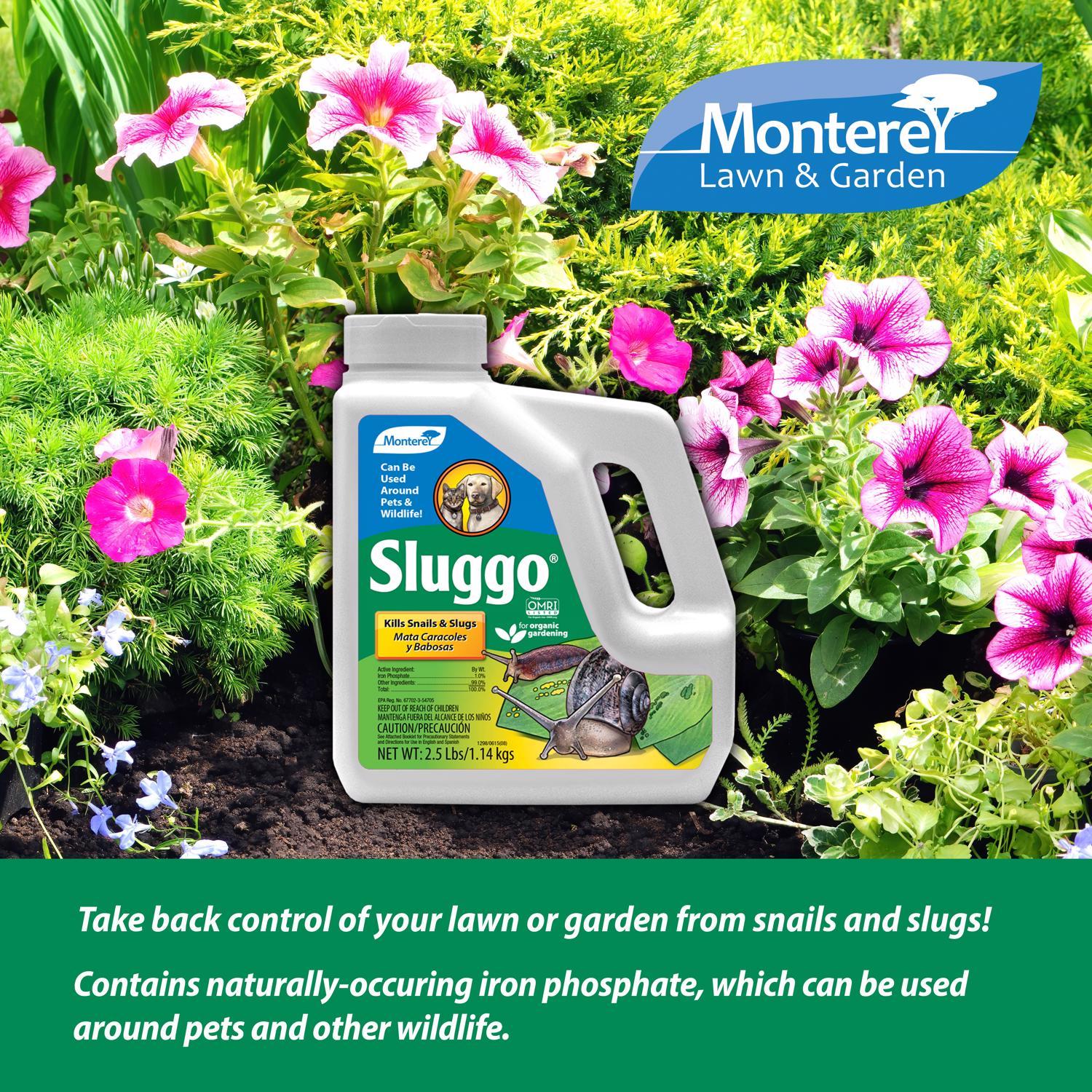 Monterey Sluggo Slug and Snail Killer 2.5 lb