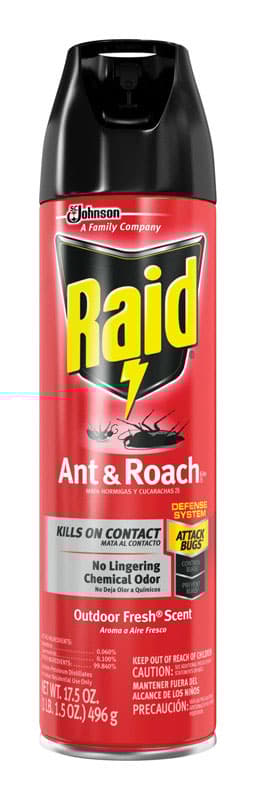 Raid Insect Killer Aerosol 17.5 oz