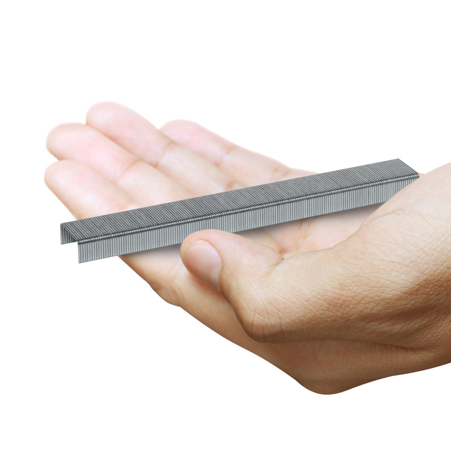 Arrow P22 7/16 in. W X 1/4 in. L 24 Ga. Medium Crown Staples 5050 pk