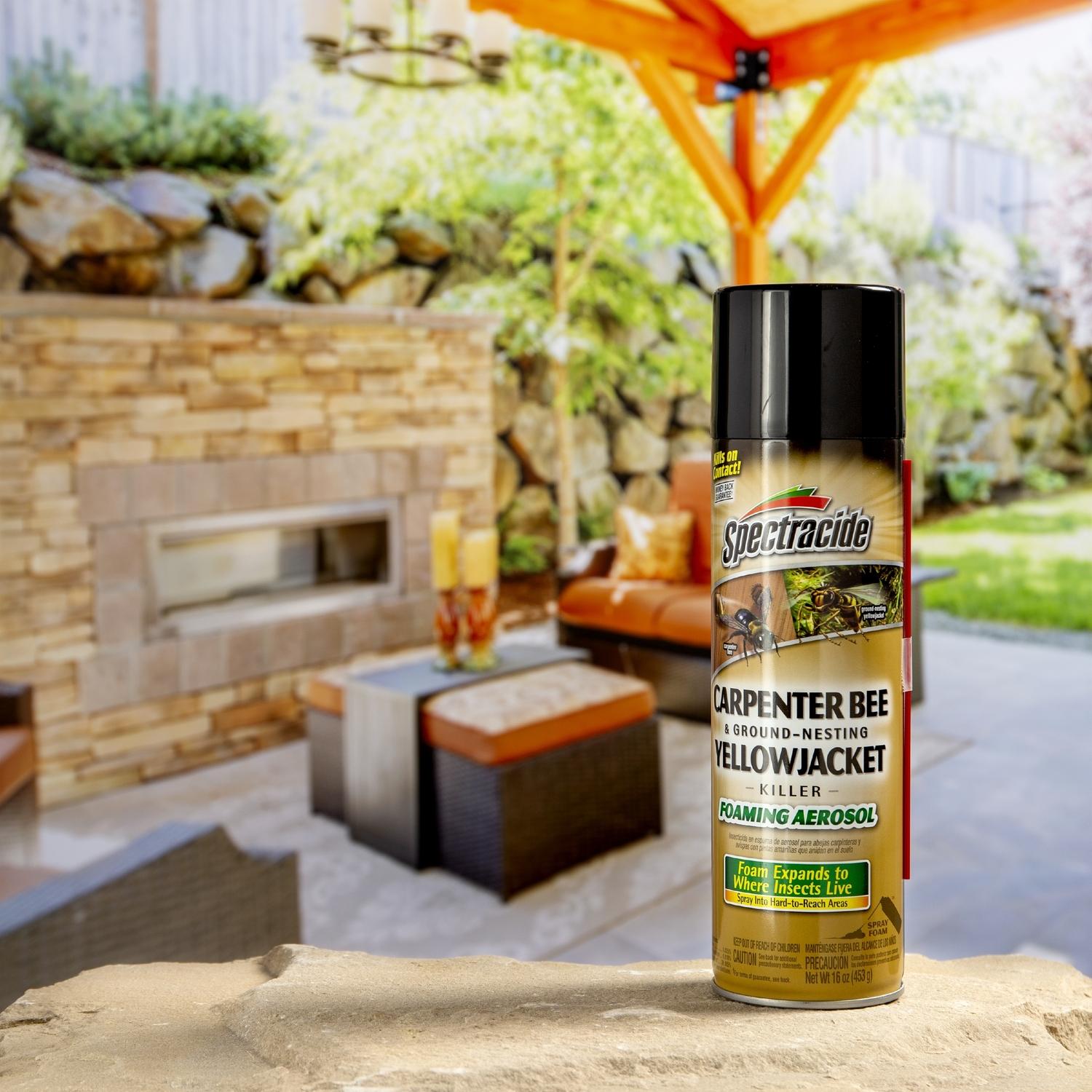 Spectracide Insect Killer Foam 16 oz