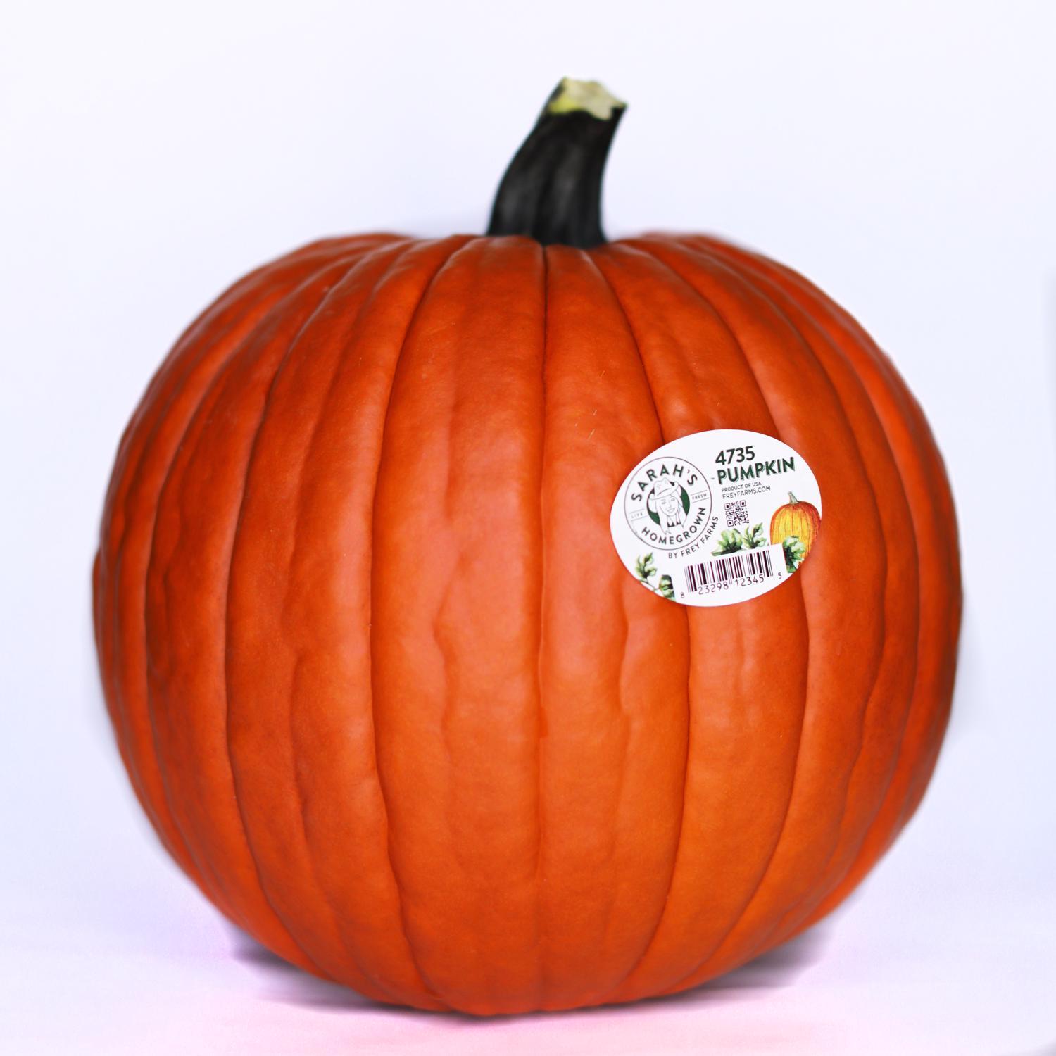 Classic Orange Pumpkin