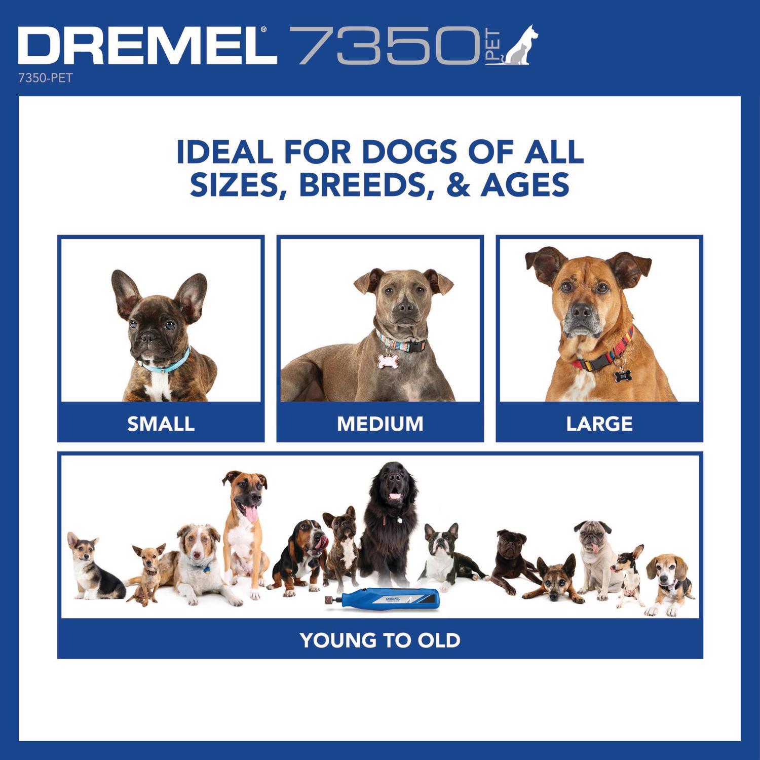 Dremel 4V Cordless Rotary Tool Kit
