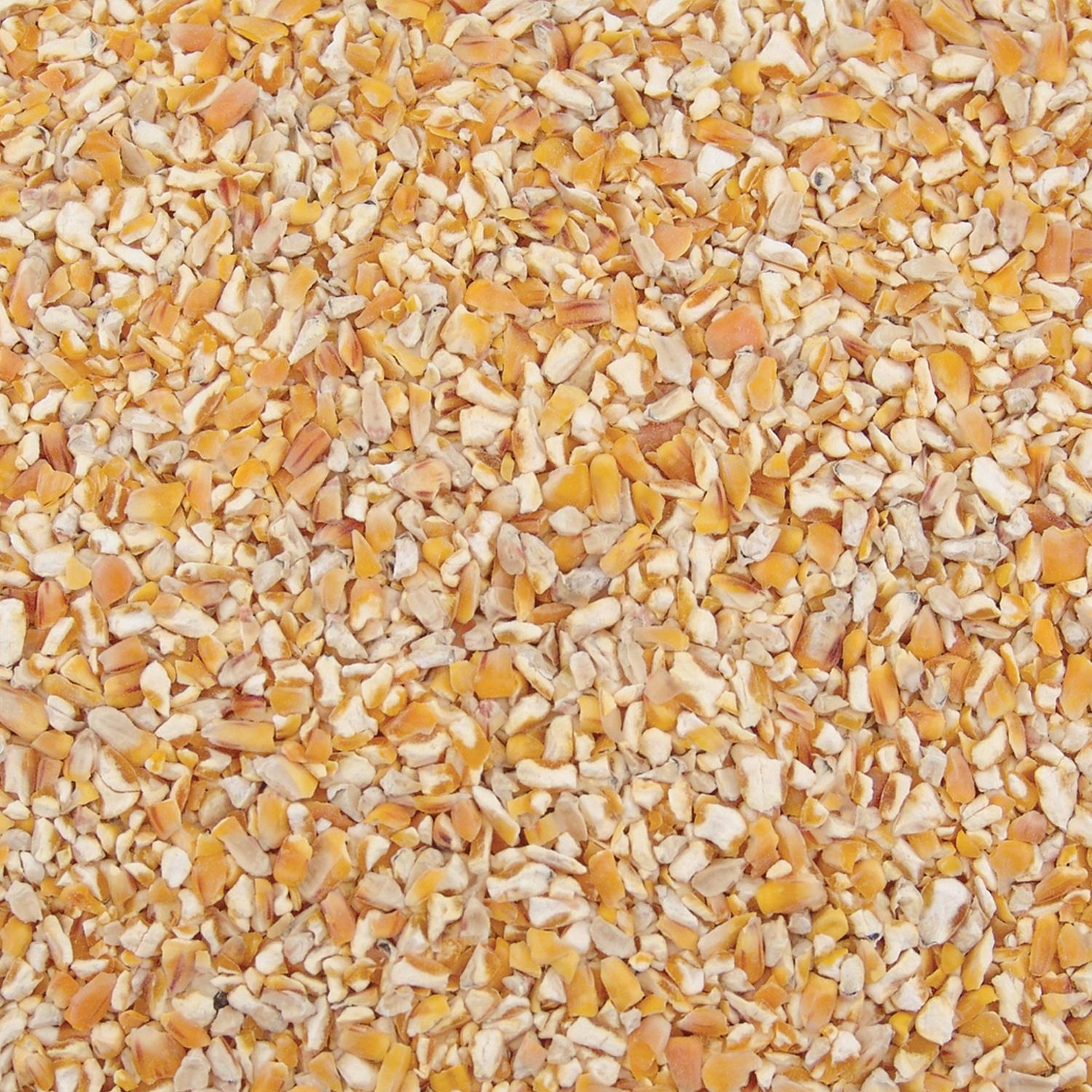 Ace Songbird Corn Cracked Corn 10 lb