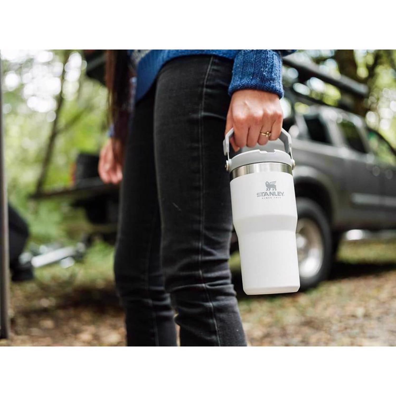 Stanley The IceFlow 20 oz Polar BPA Free Double-wall vacuum insulation Insulated Straw Tumbler