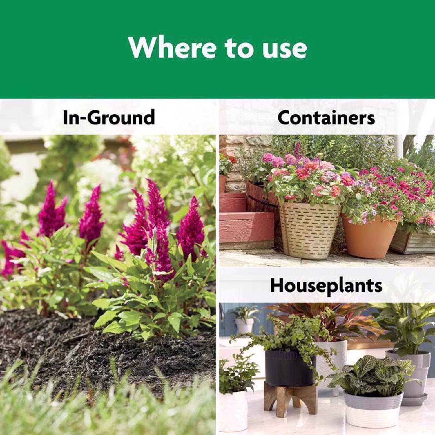 Miracle-Gro Shake 'n Feed Granules Plant Food 4.5 lb