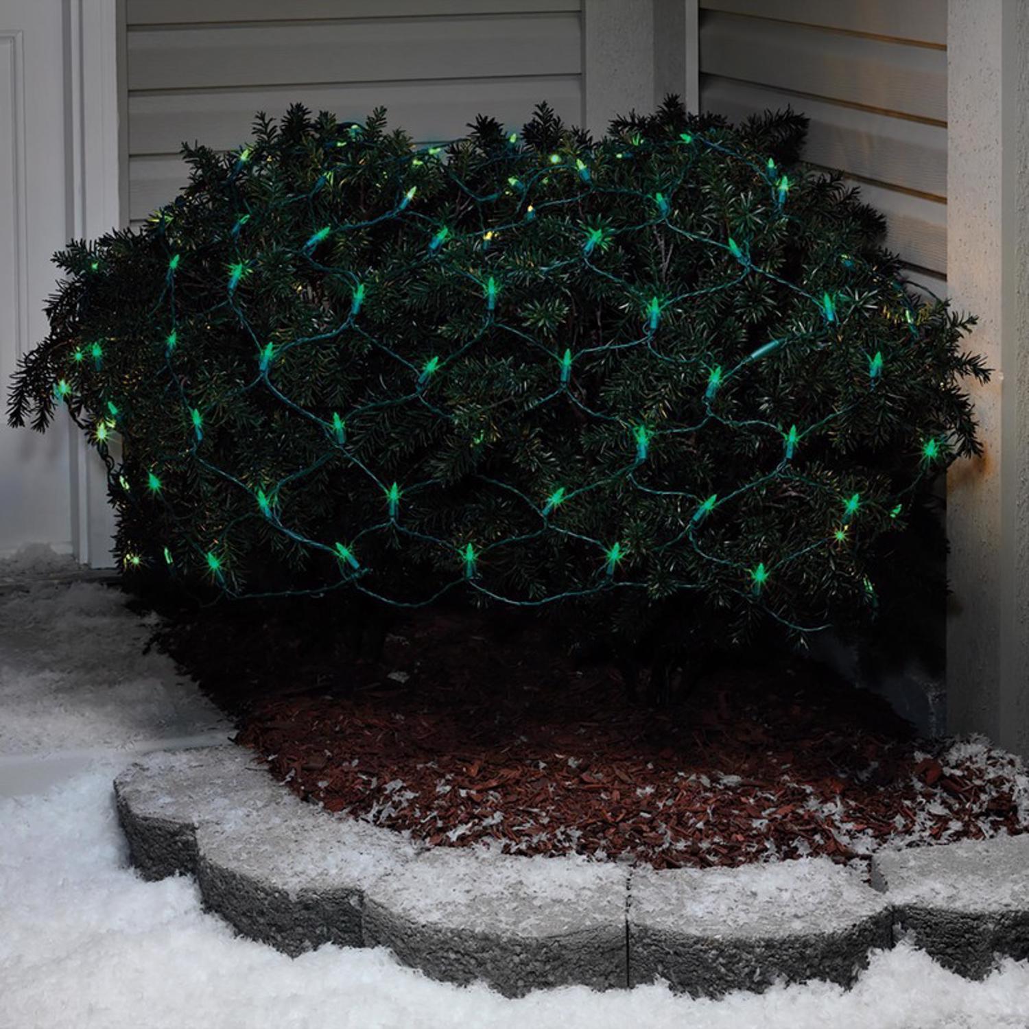 Celebrations Blue LED Mini Green 100 ct Net Christmas Lights 24 ft.